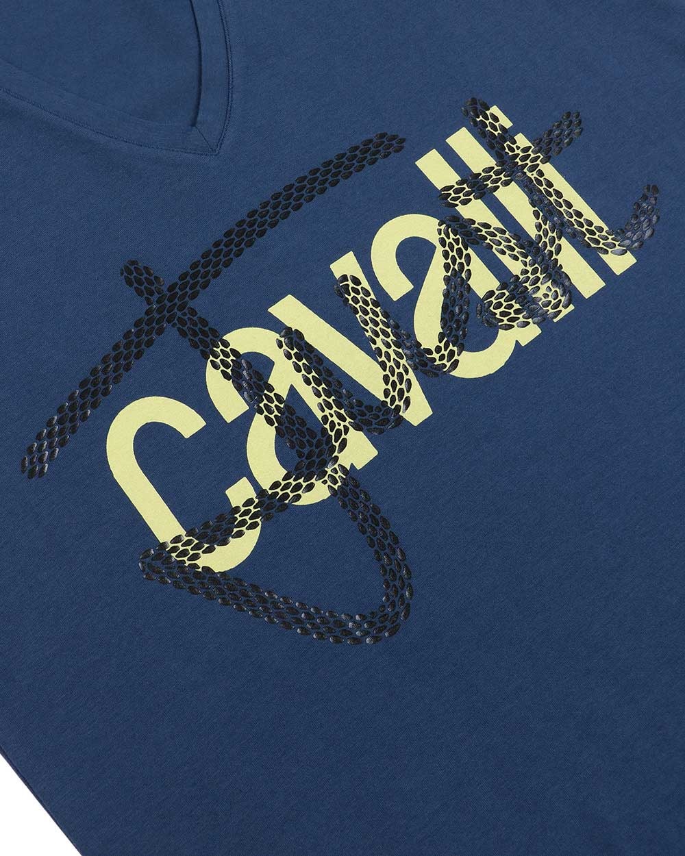 Just Cavalli Letter T-shirt In Blue