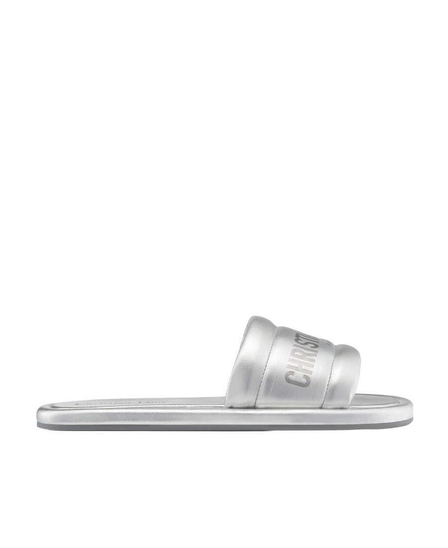 Dior Every-d Flat Slippers In Gray