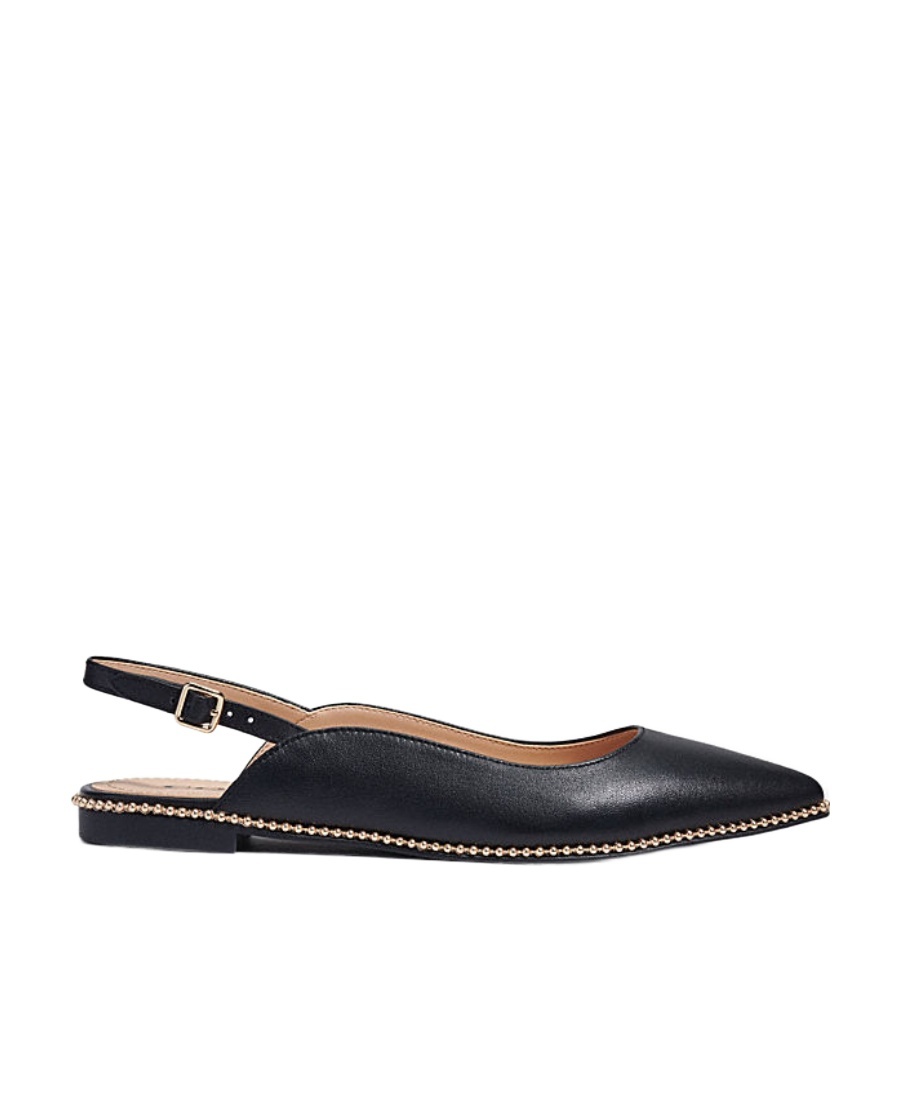 Coach Pointed Flat Shoes In Black