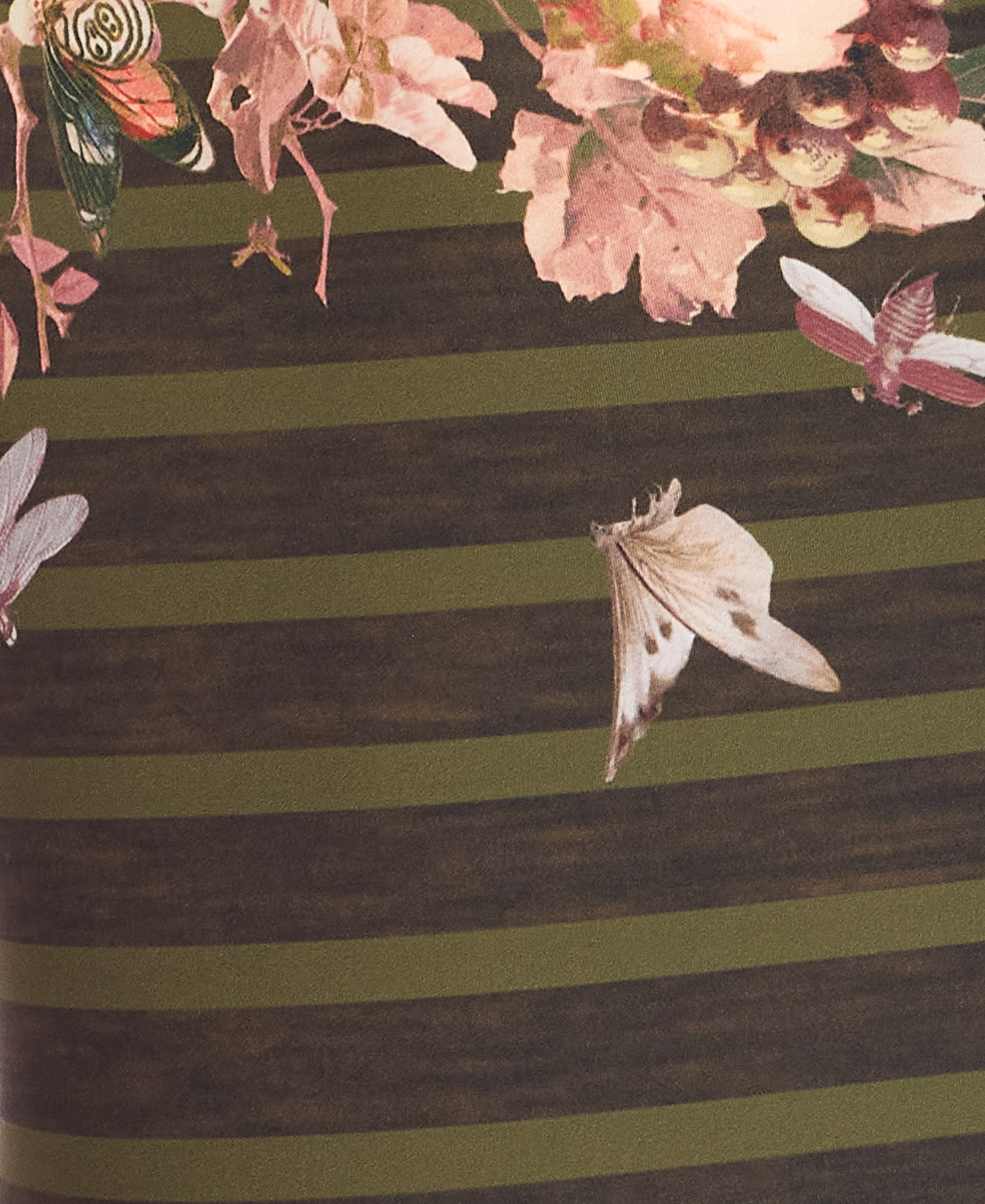 Jean Paul Gaultier Women Mariniere Grape Printed Swimsuit In Green