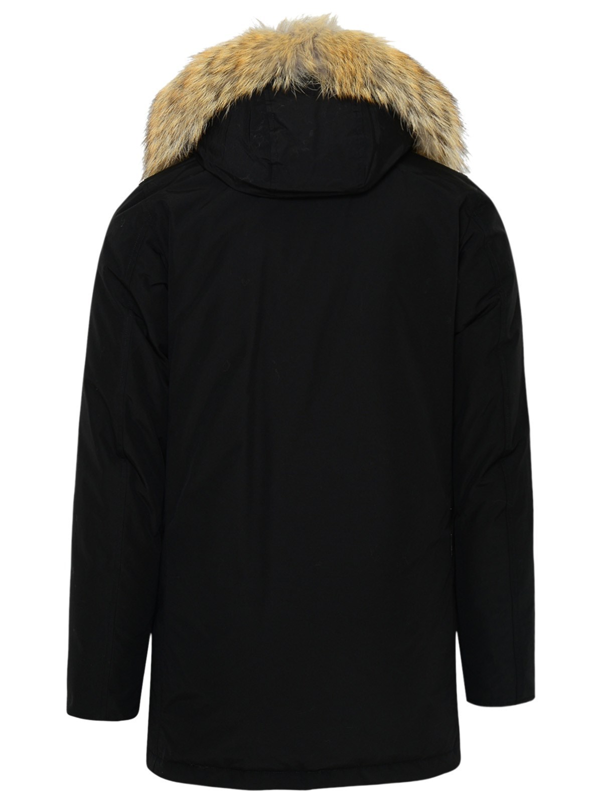 Woolrich Navy Blue Hooded Cotton-padded Jacket In Black