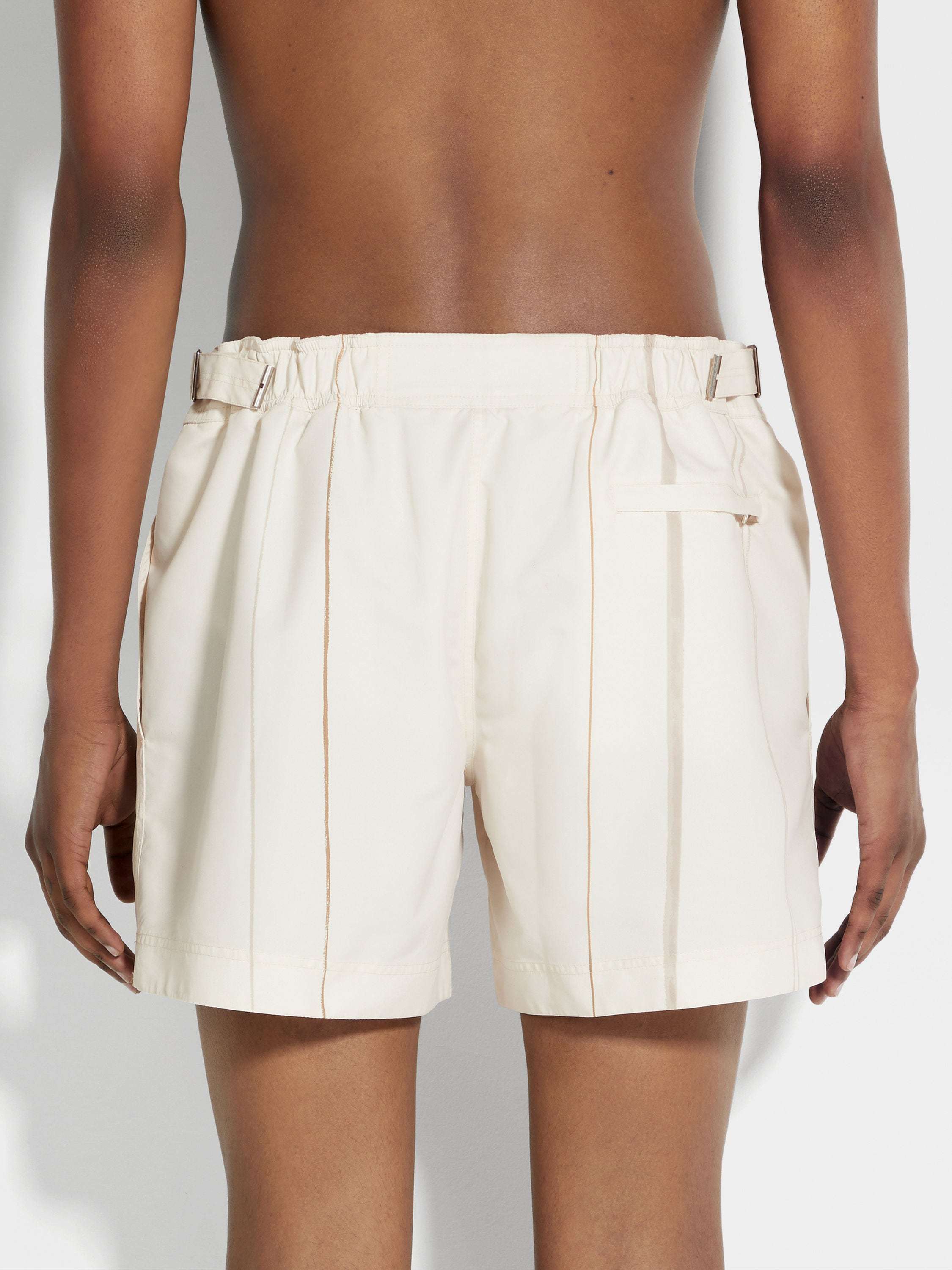 Zegna Stripe Regular Fit Swim Trunks In Neutral