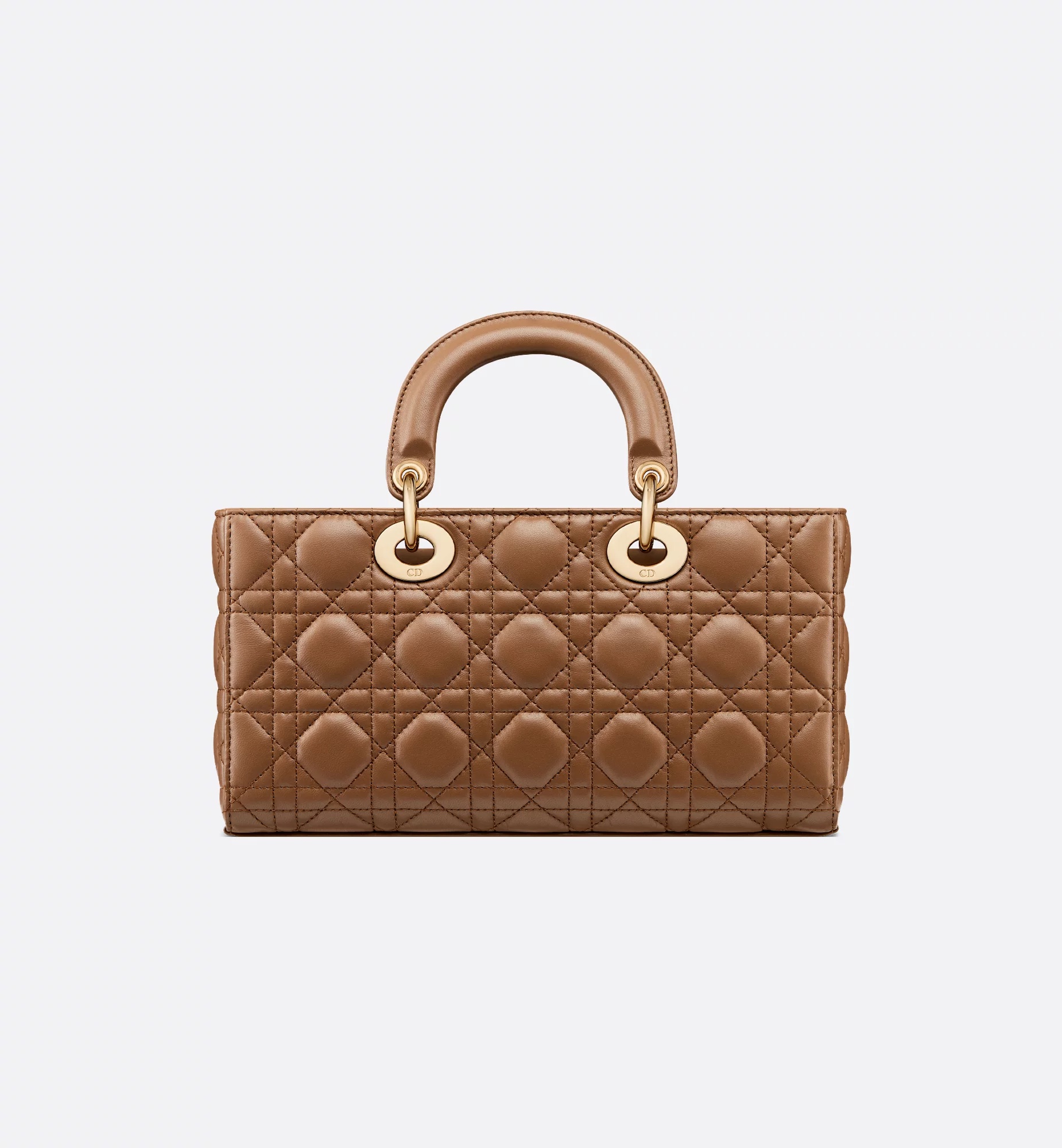 Dior Medium Lady D-joy Bag In Brown