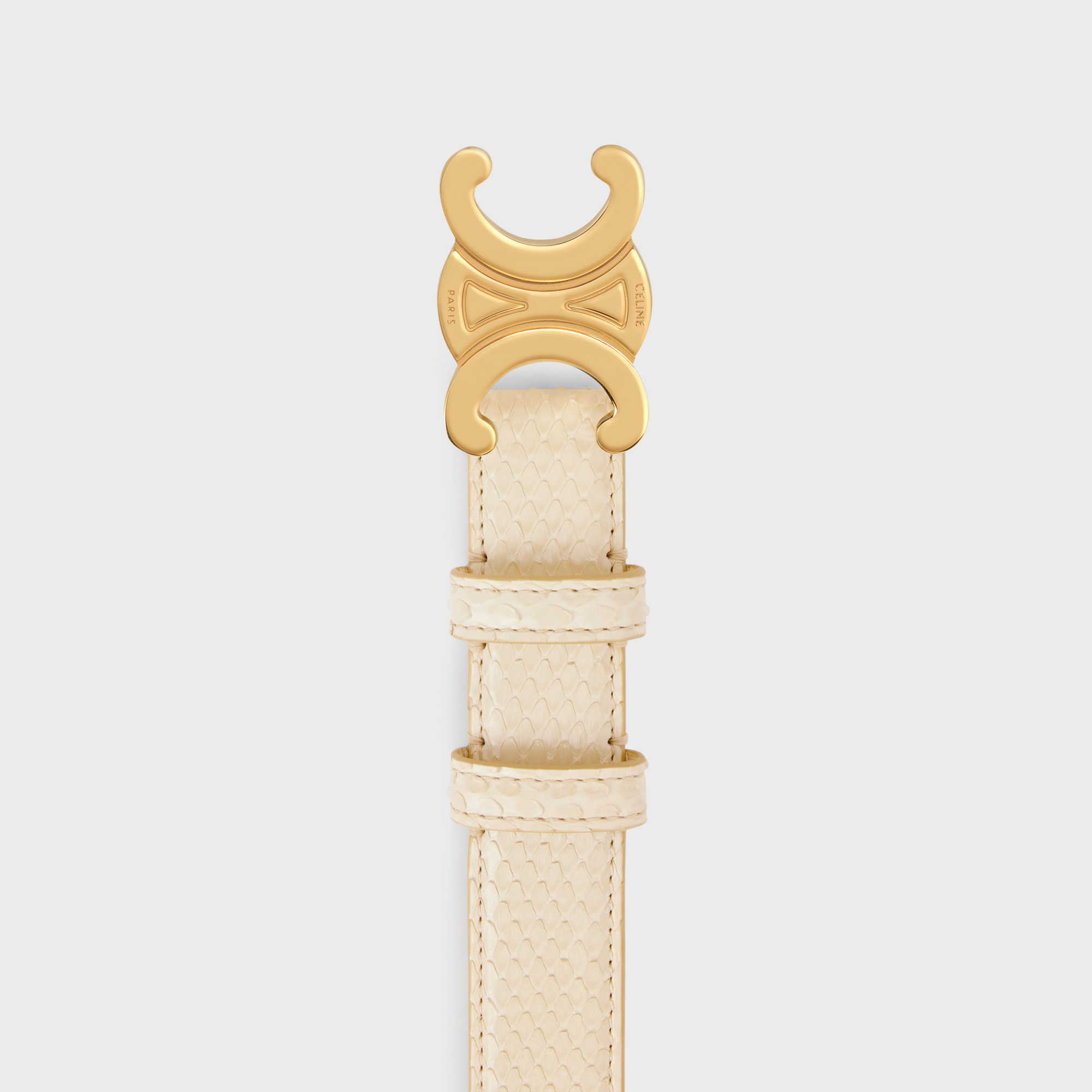 Celine Medium Logo Belt In Nude