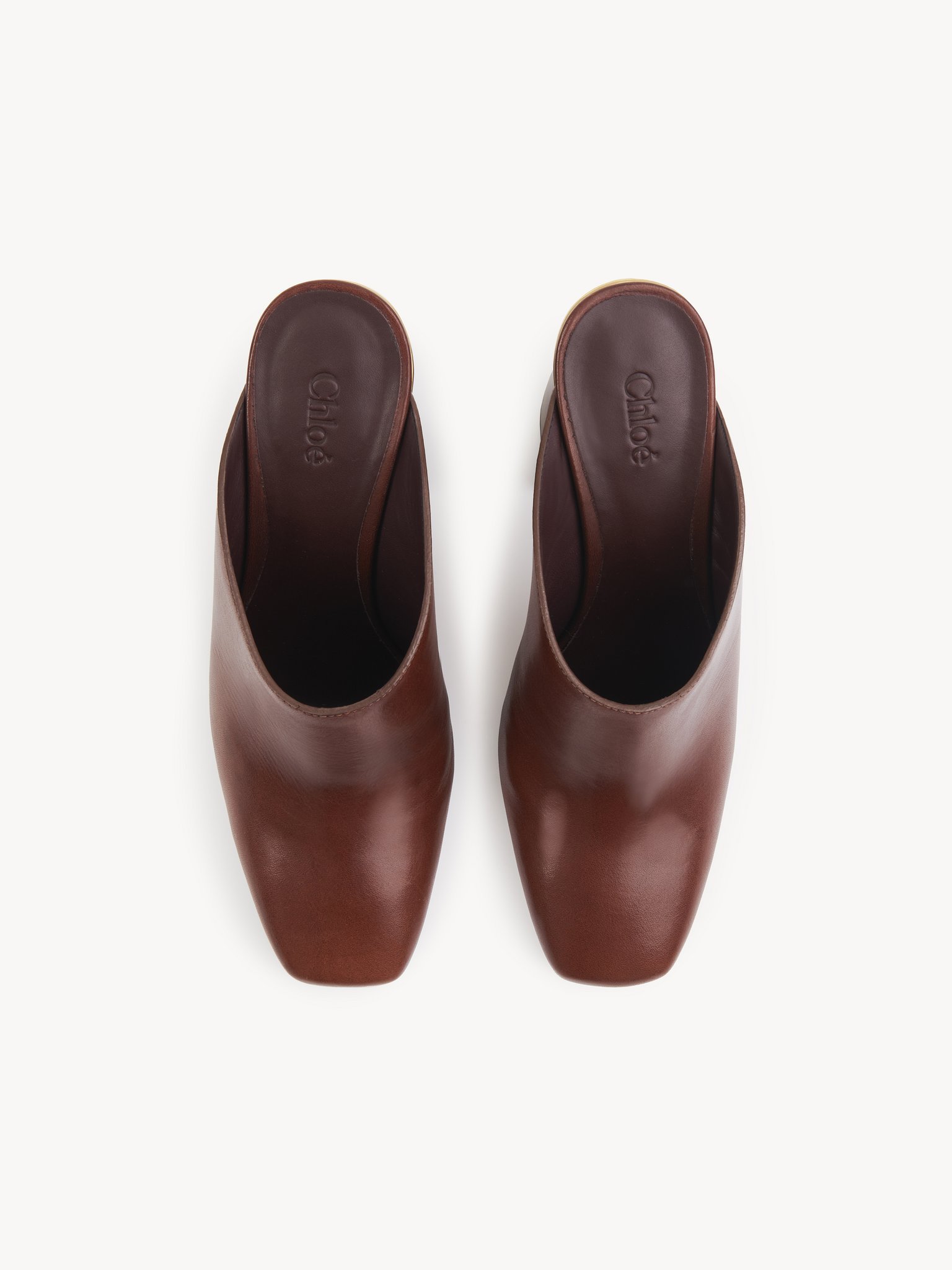 Chloé Ambre Calfskin Block-heel Mules In Brown