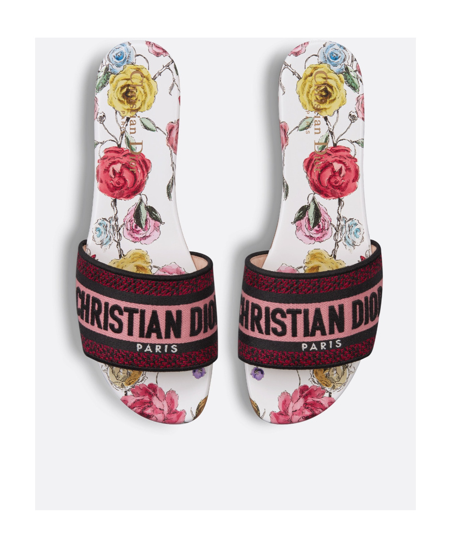 Dior Dway Slide In Multi