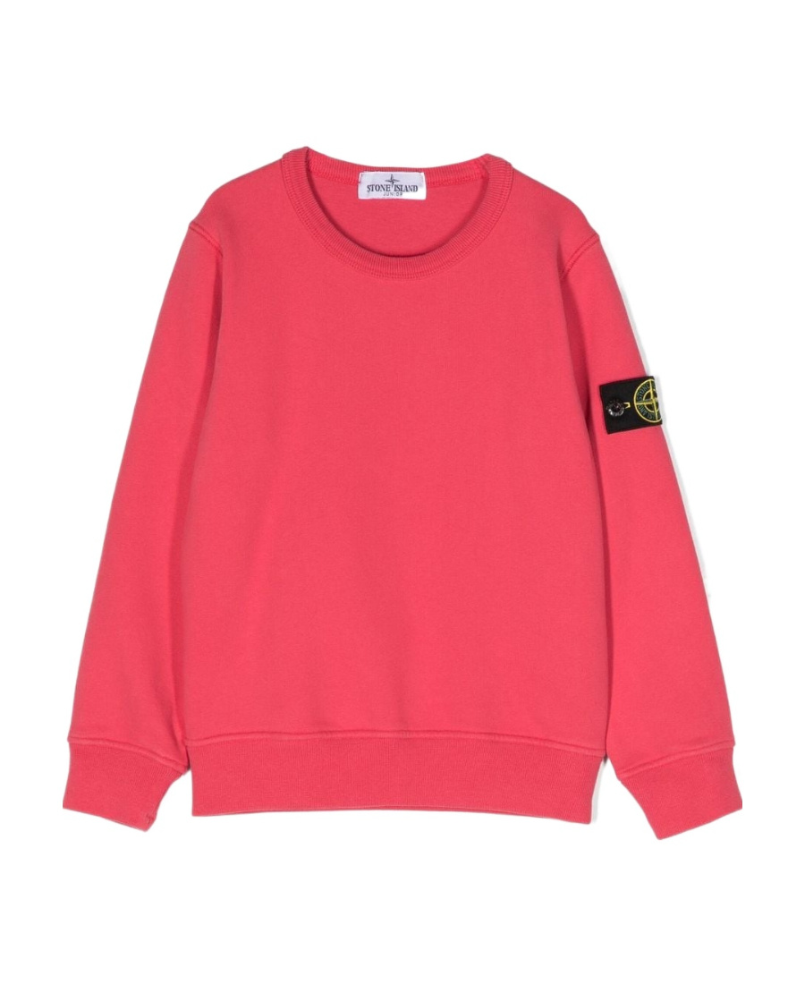 Stone Island Compass-detachable Badge Sweatshirt In Red