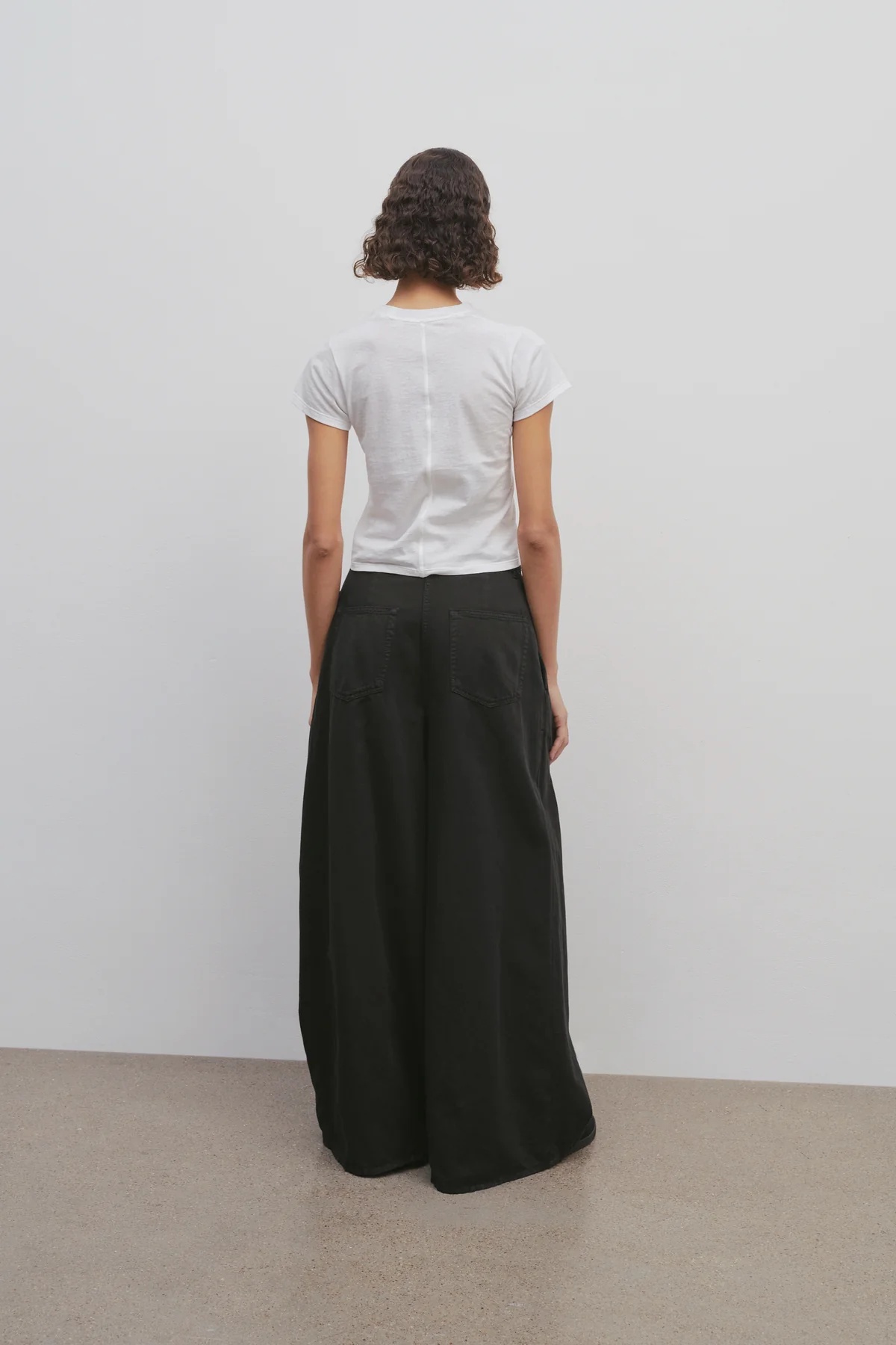 The Row Criselle Double Pleated Jeans In Black