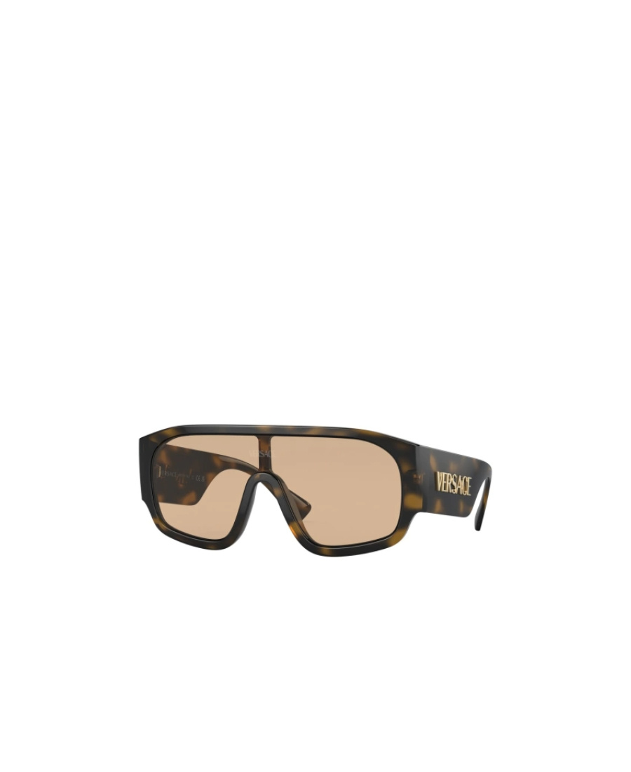 Versace Logo Sunglasses In Nude