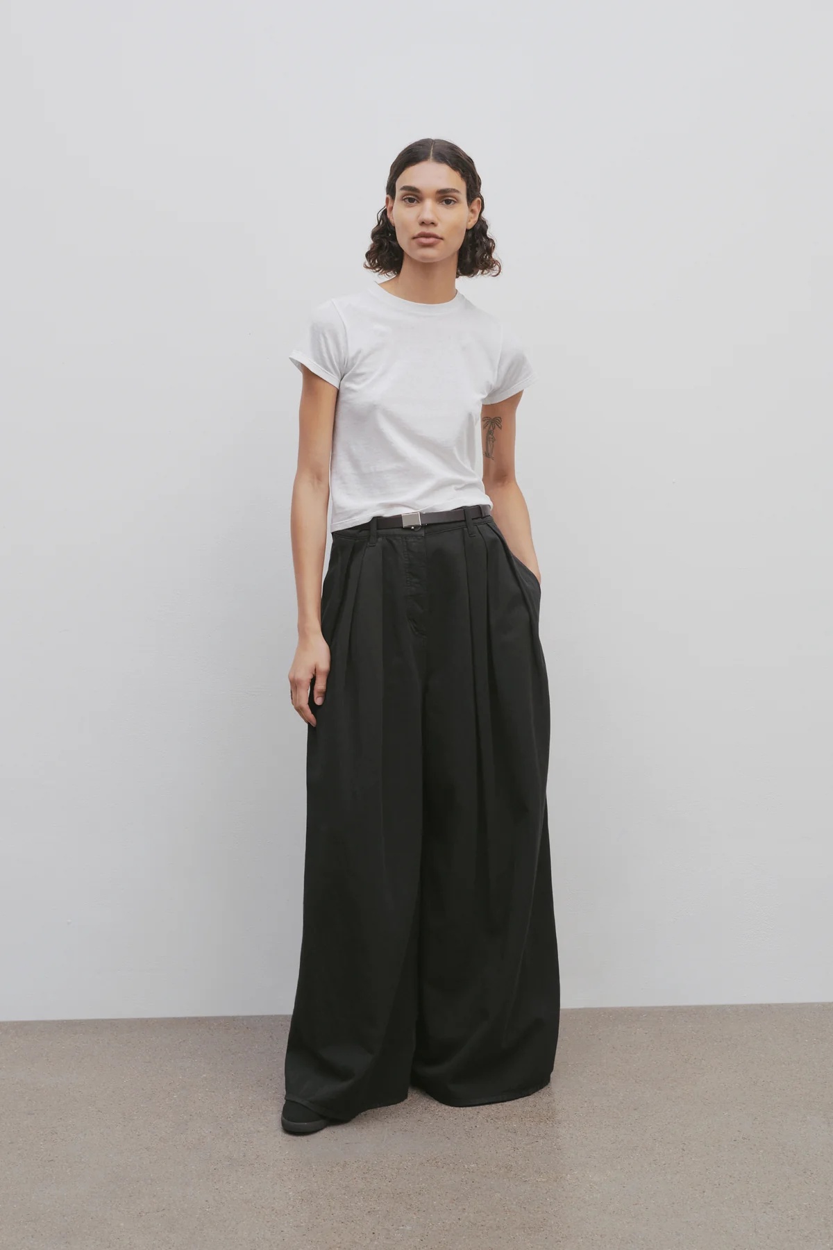 The Row Criselle Double Pleated Jeans In Black