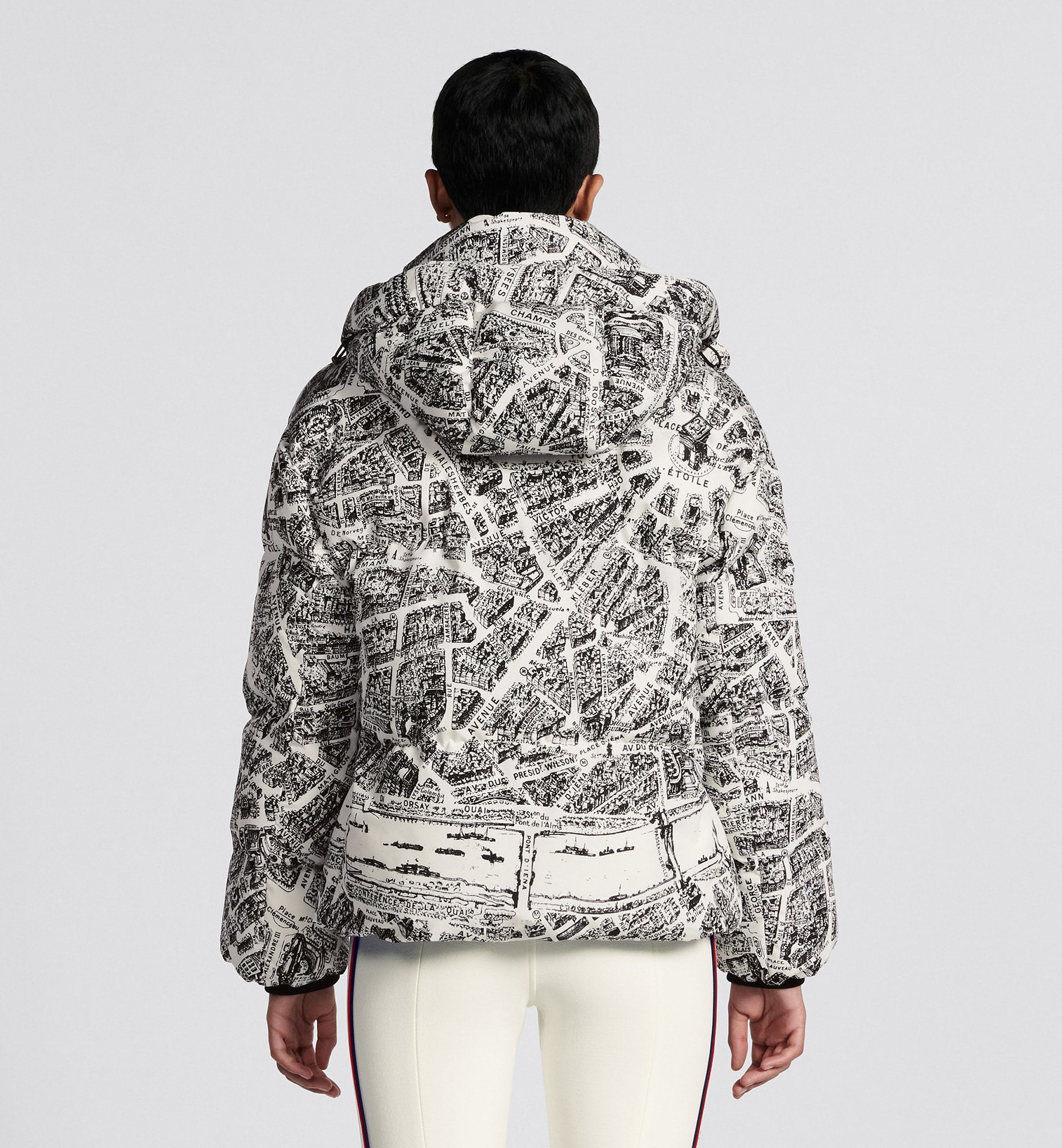 Dior Alps Hooded Down Jacket In Gray