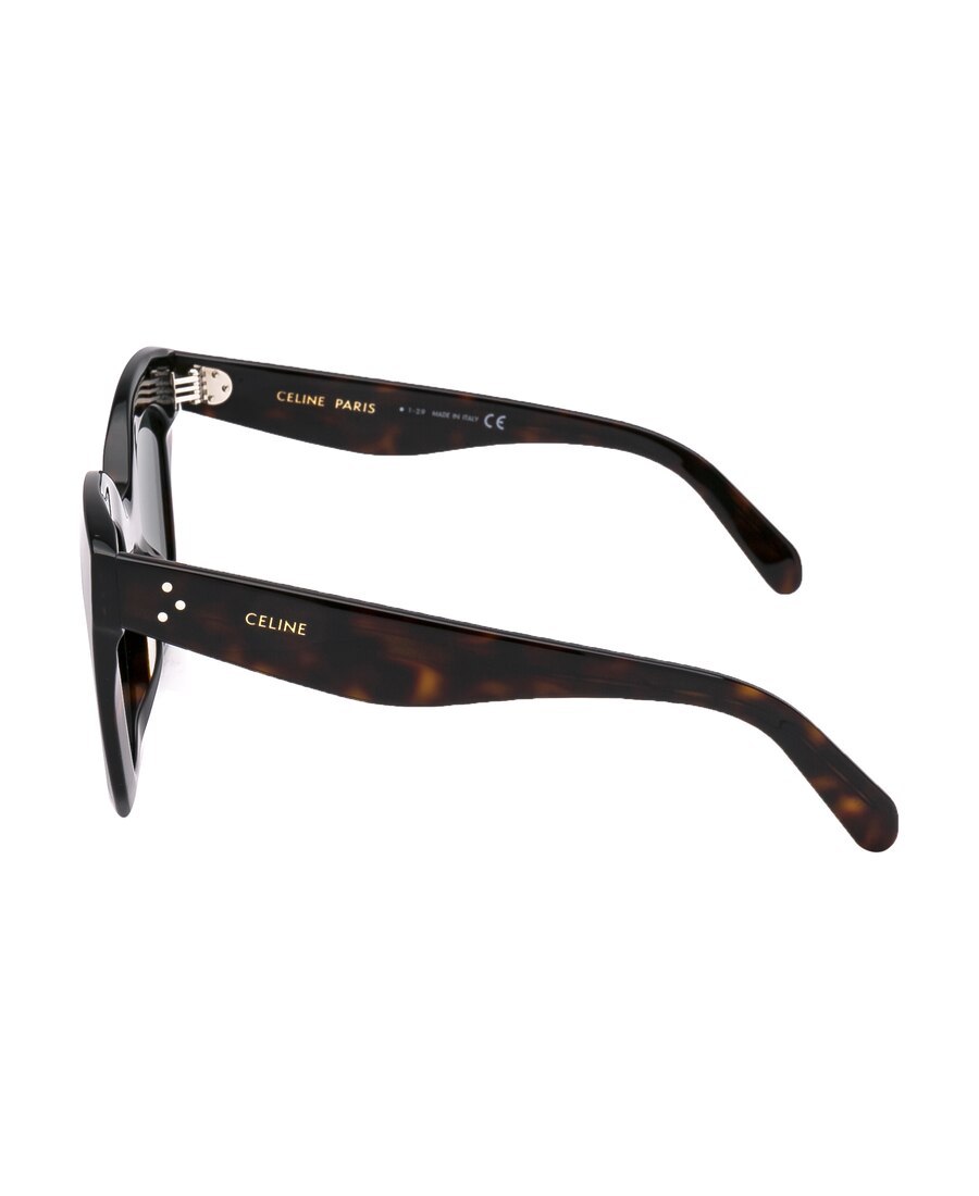 Celine Oversize-frame Sunglasses In Brown