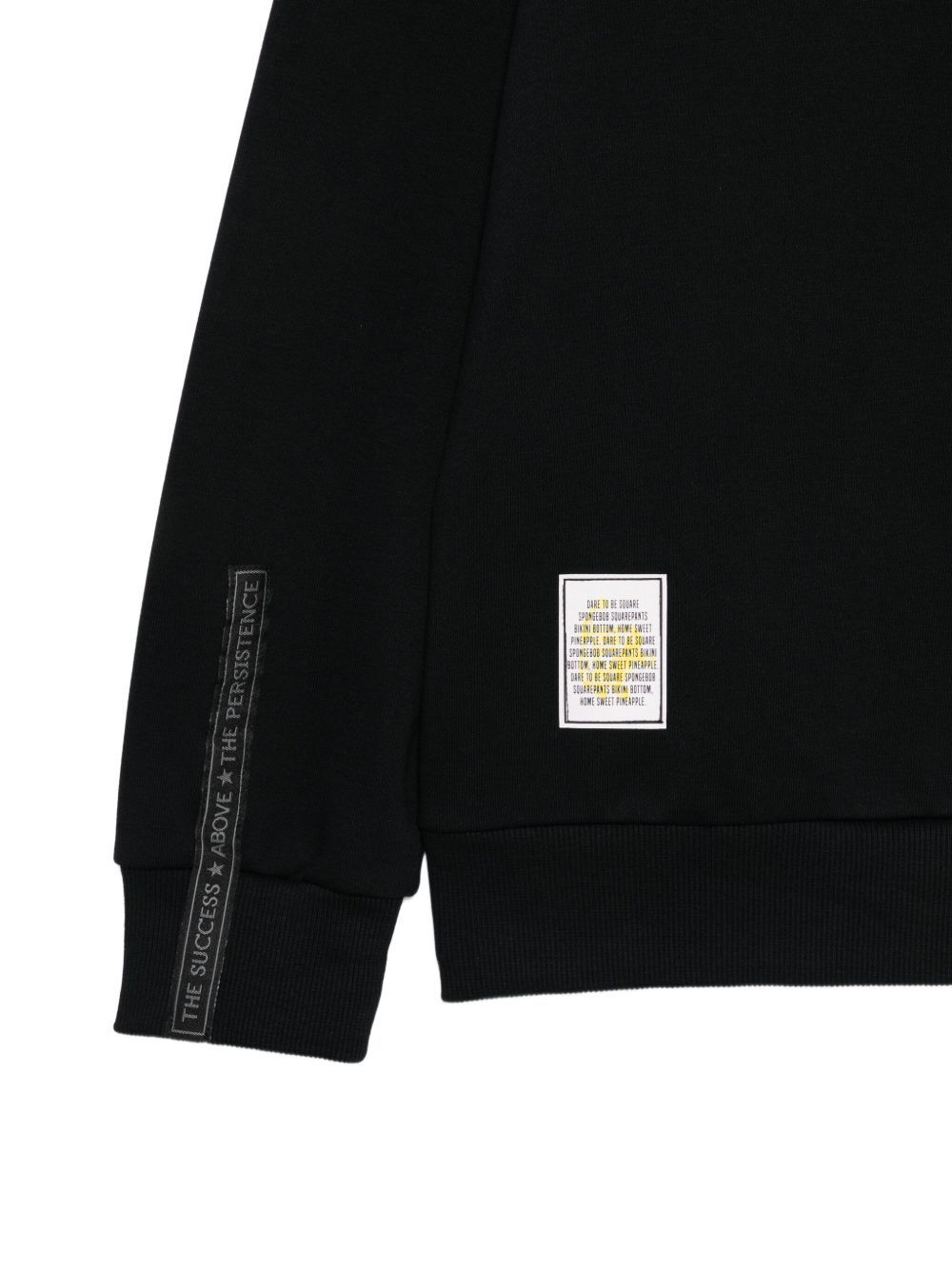Iceberg Logo Graphic Hoodie Long Sleeves In Black