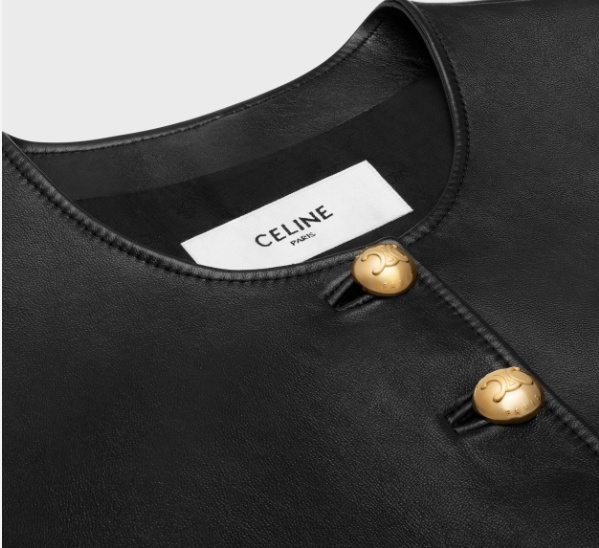 Celine Single-breasted Leather Jacket In Black