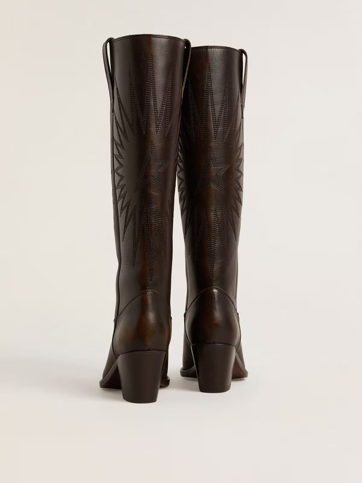 Golden Goose Pointed-toe Boots In Brown