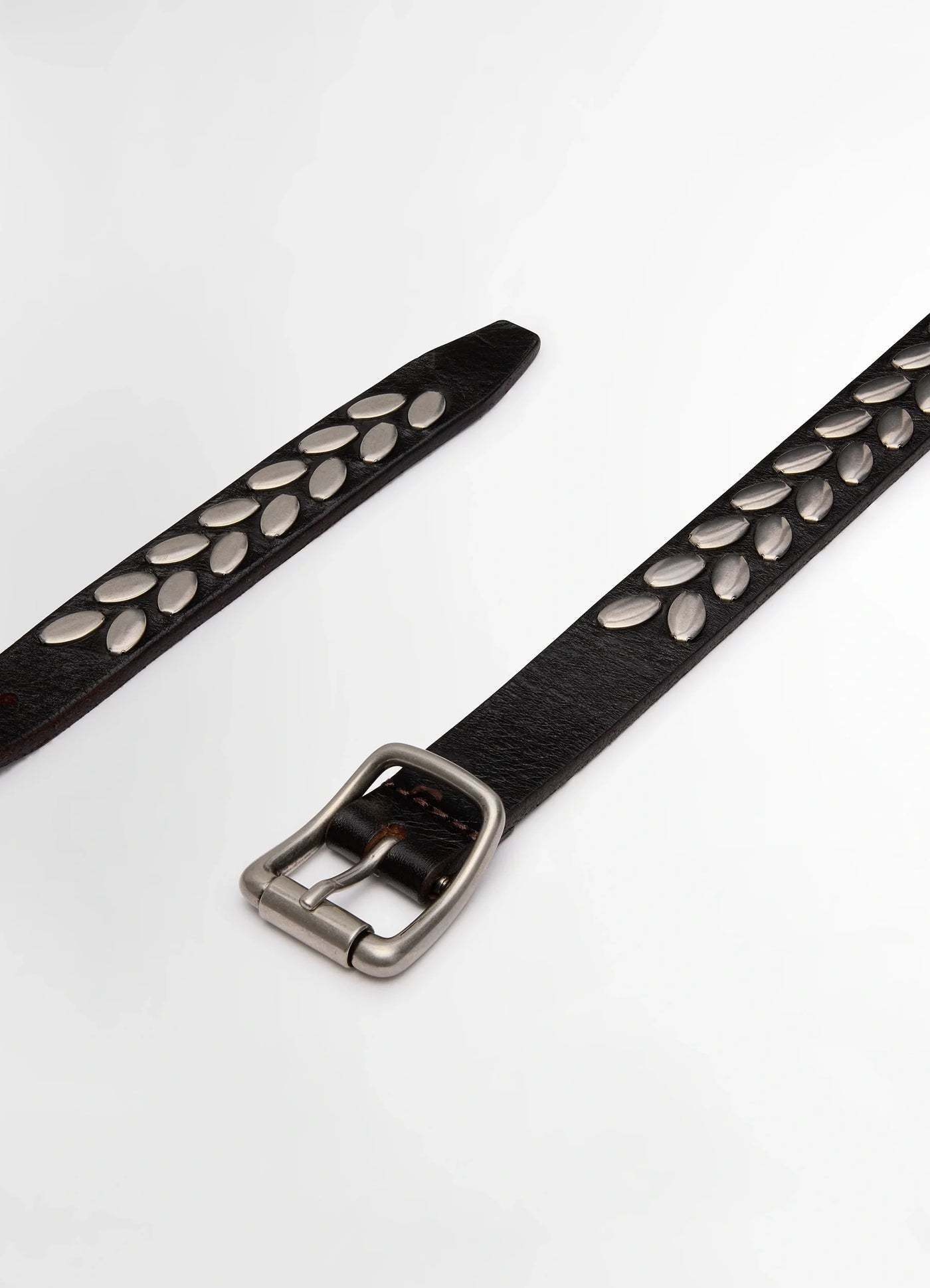 Lemaire Stud Belt In Black