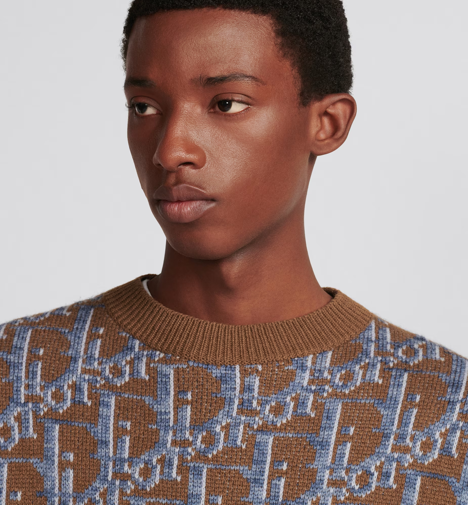 Dior Wool Jacquard Sweater In Multicolor