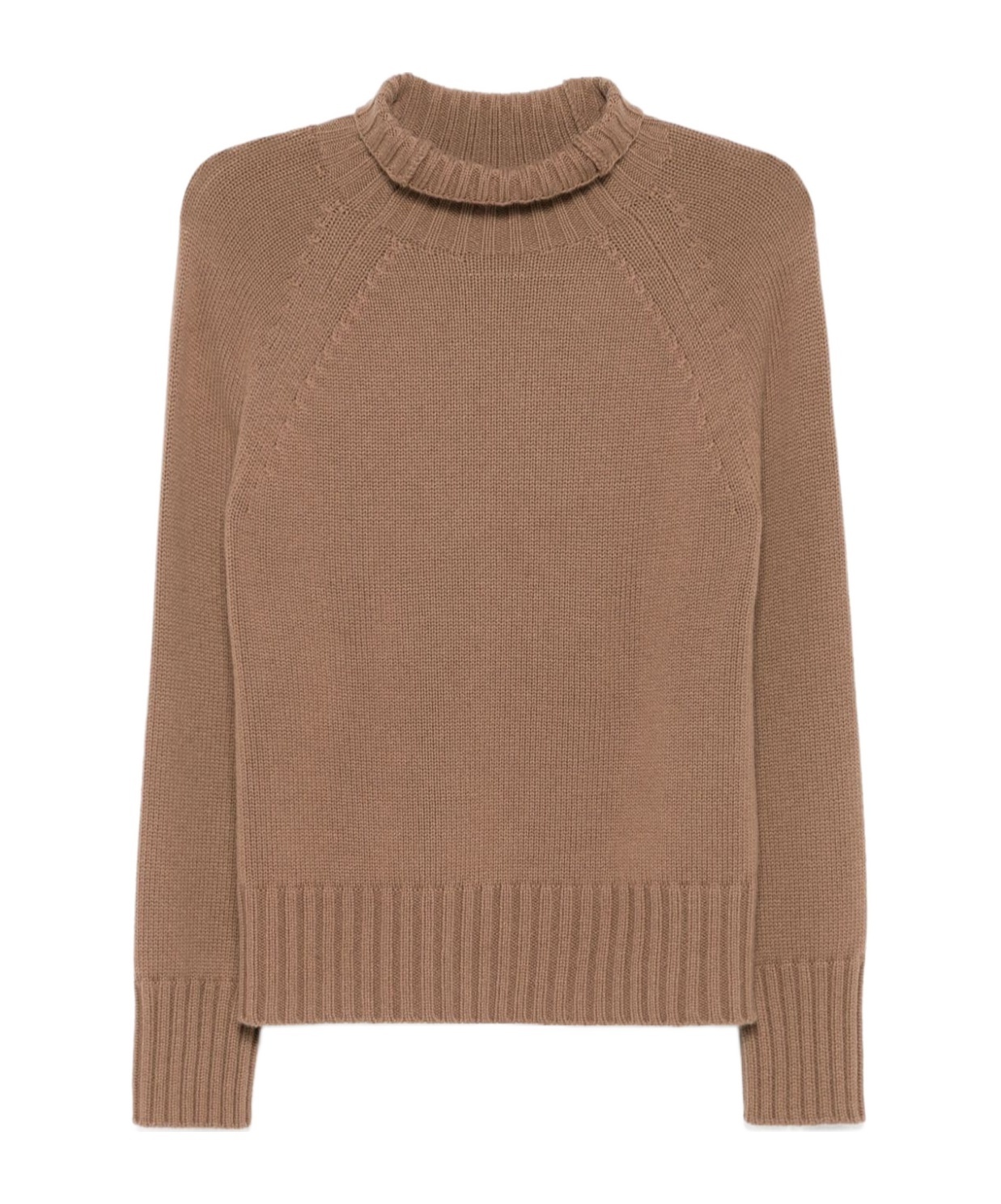 Max Mara Wool And Cashmere Turtleneck In Brown
