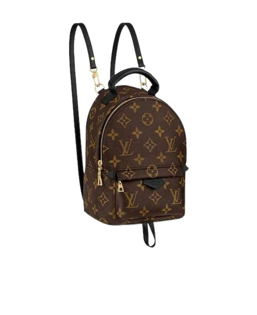 Pre-owned Louis Vuitton 2020 Mini Palm Springs Backpack In Brown