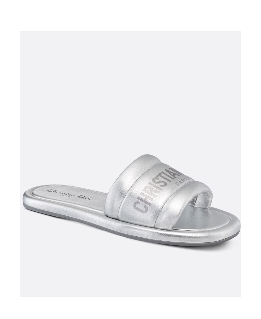 Dior Every-d Flat Slippers In Gray
