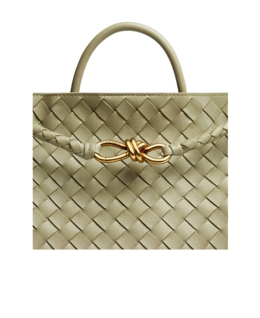 Bottega Veneta Medium Andiamo In Green