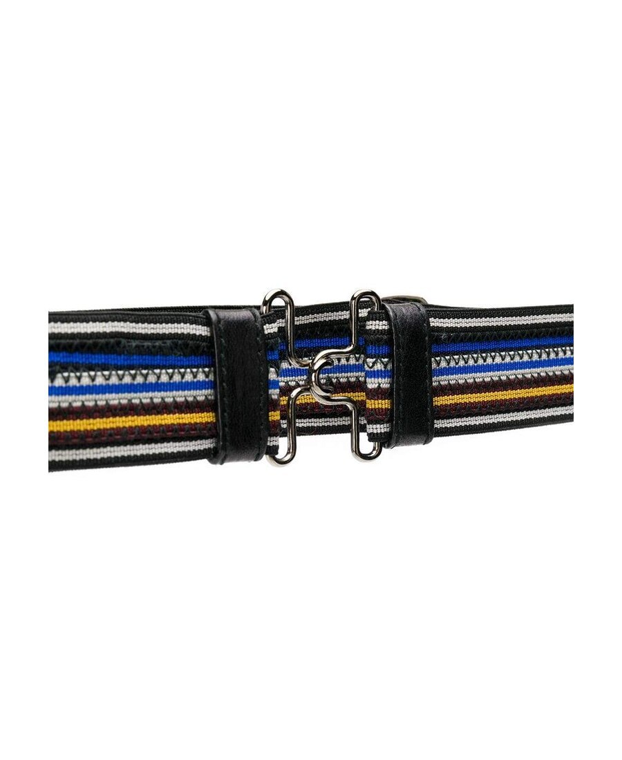 Prada Striped Buckle Belt In Multi