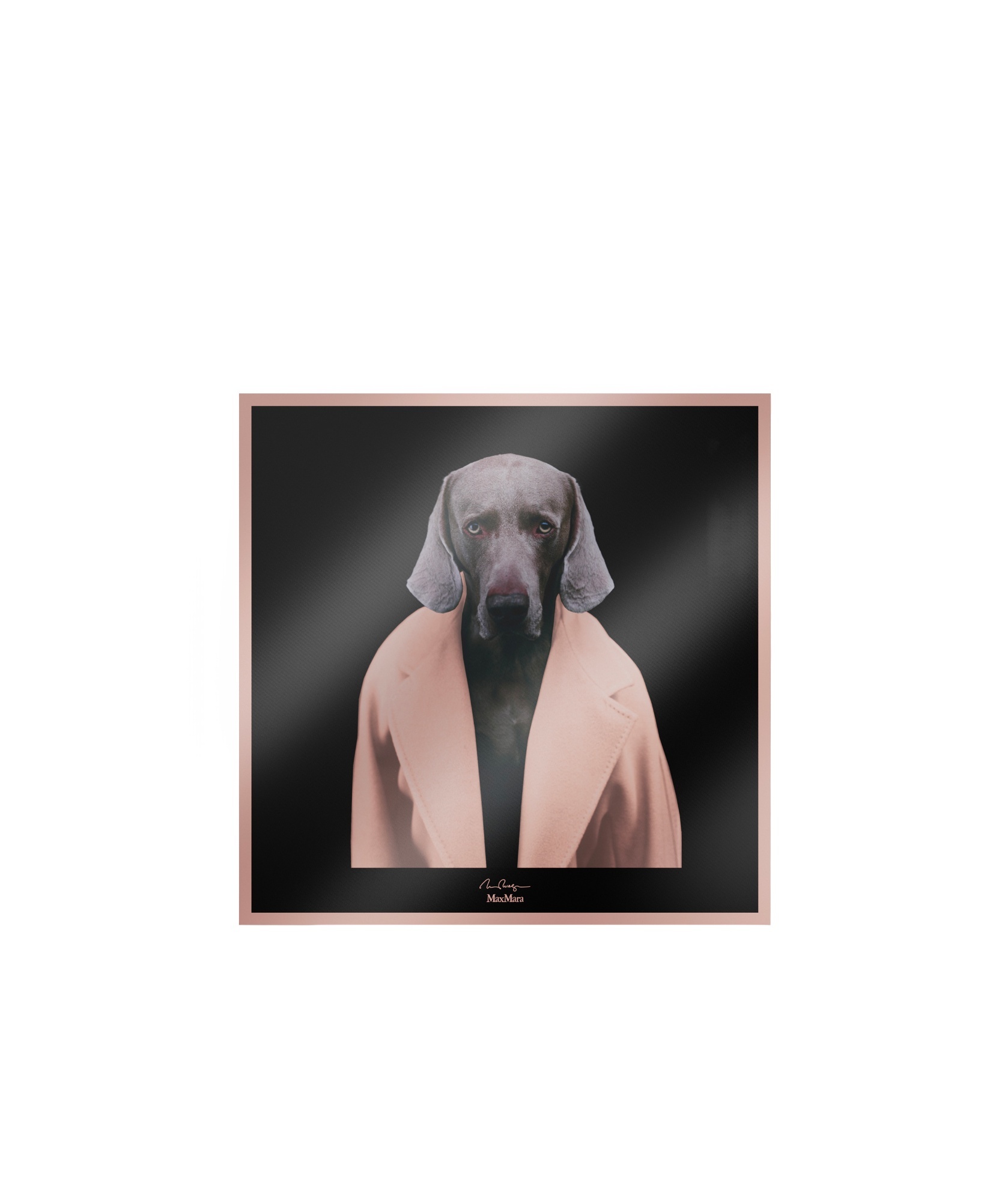 Max Mara Pattern Silk Scarf In Nude