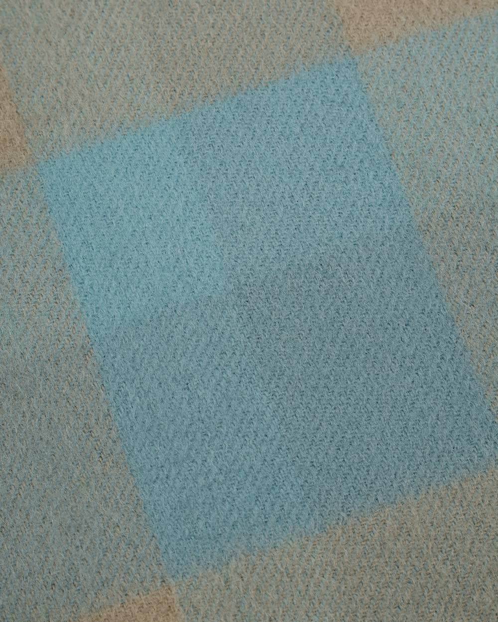 Weekend Max Mara Checkered Fringed Scarf In Blue