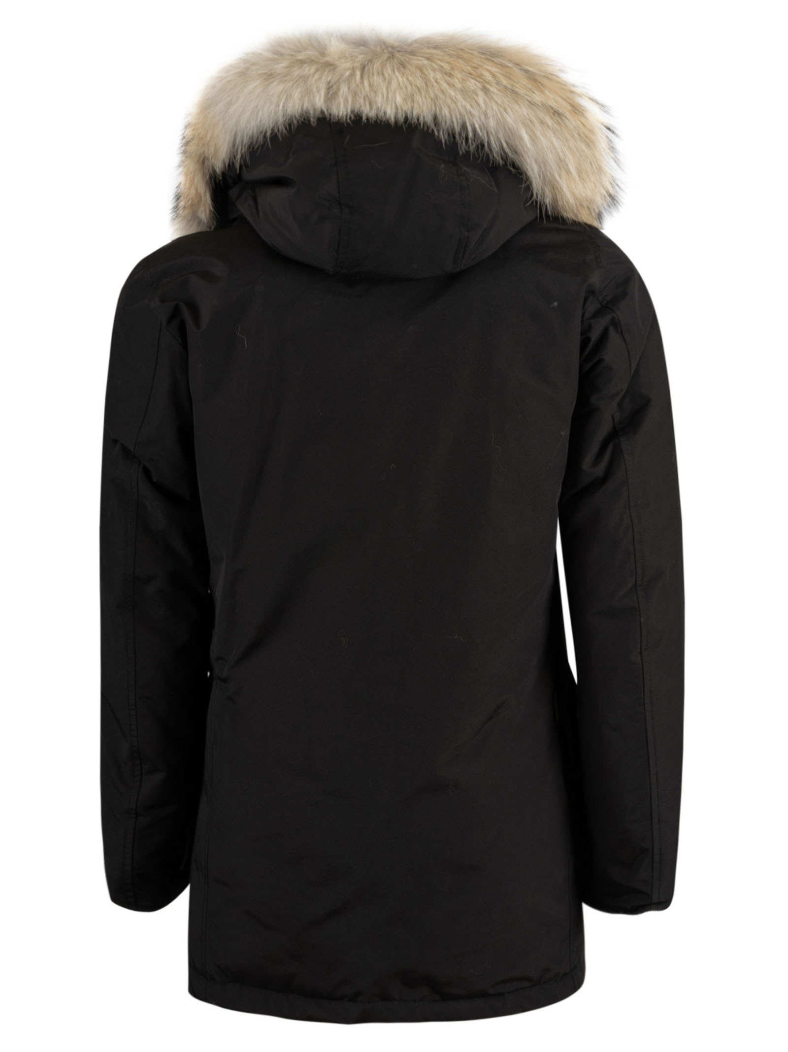 Woolrich Navy Blue Hooded Cotton-padded Jacket In Black