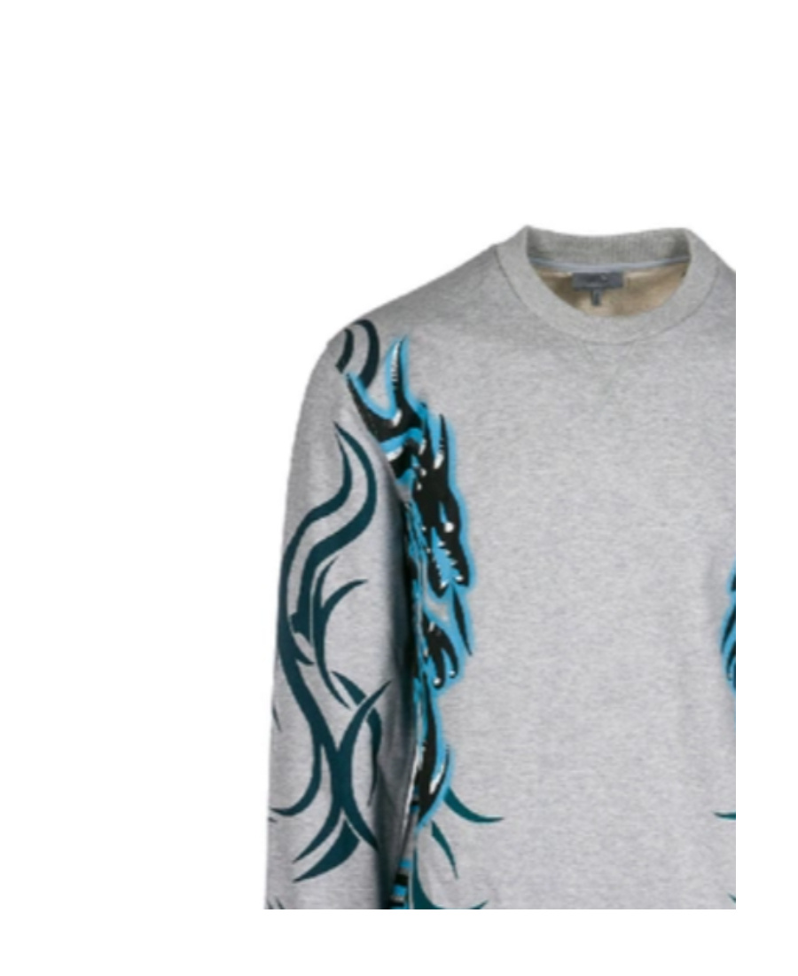 Lanvin Printed Hoodie In Gray