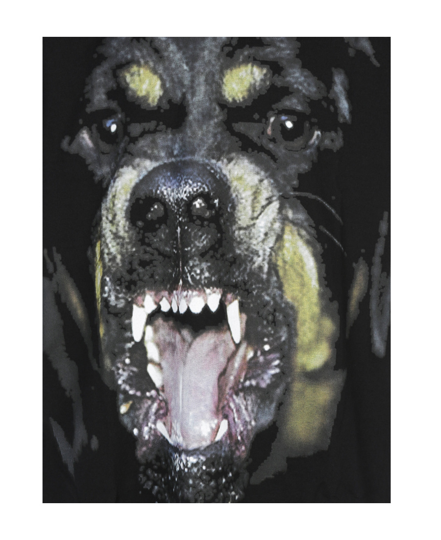 Givenchy Rottweiler Printed T-shirt In Black