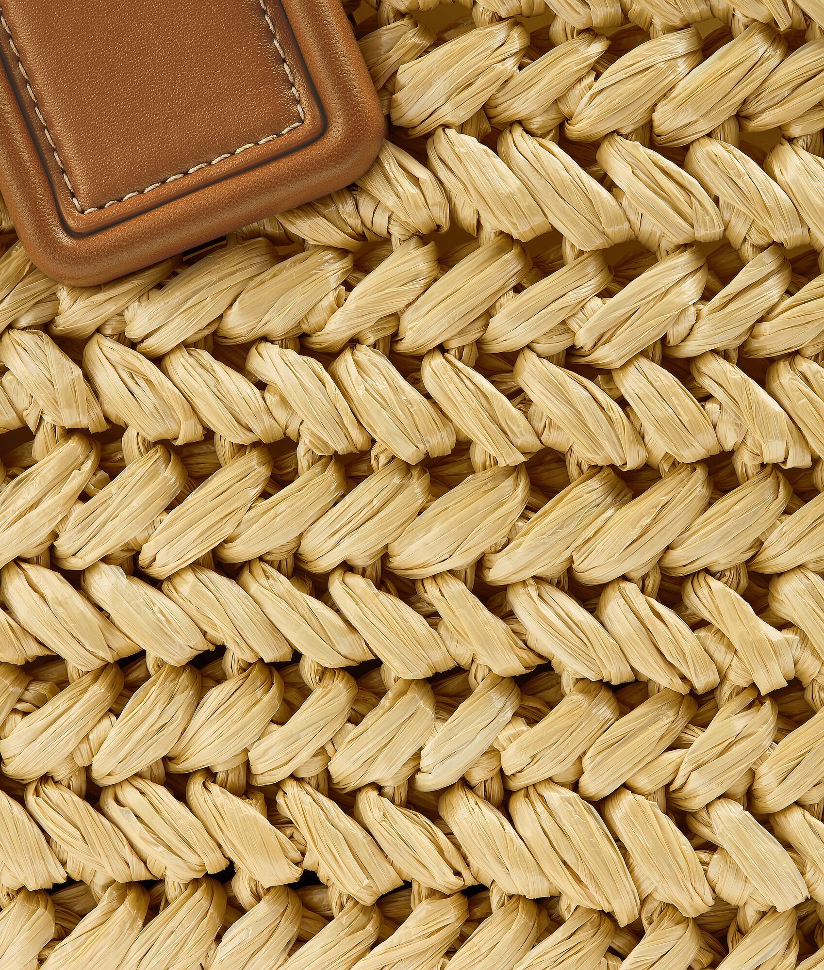 Bottega Veneta Arco Raffia Tote Bag