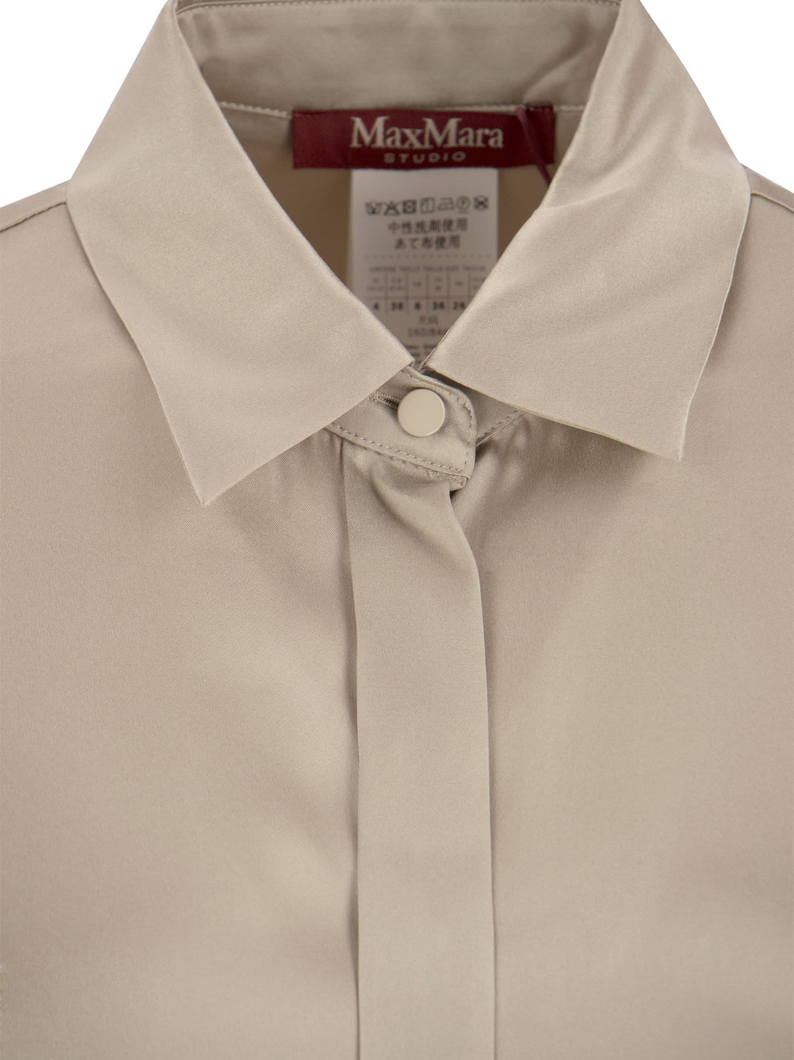 Max Mara Long-sleeved Pointed Collar Shirt In Nude