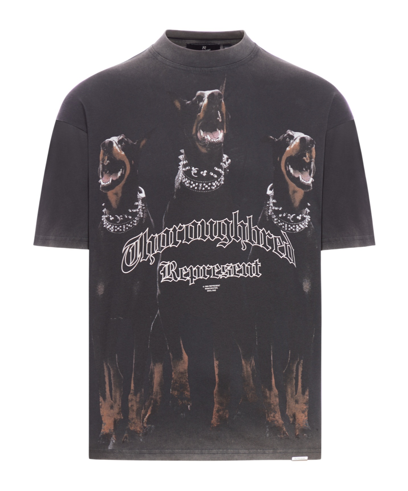 Represent Men's Thoroughbred T-shirt In Black