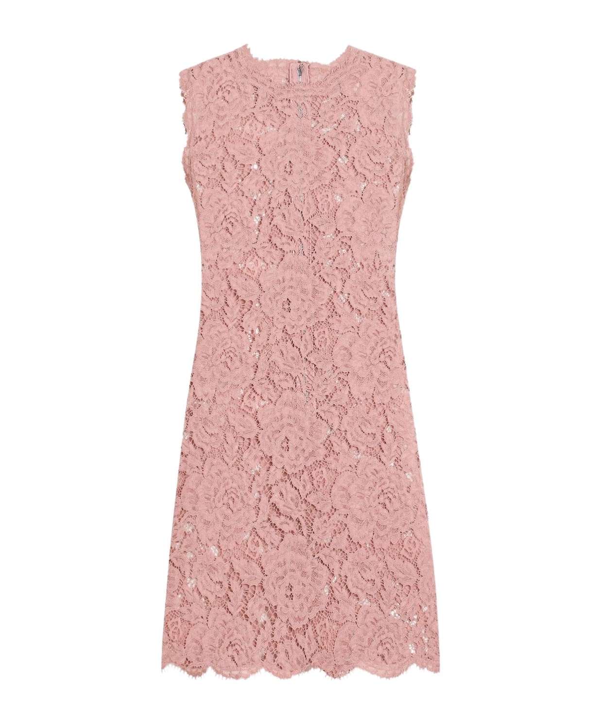 Dolce & Gabbana Floral Lace Overlay Dress With Scalloped Hem In Pink