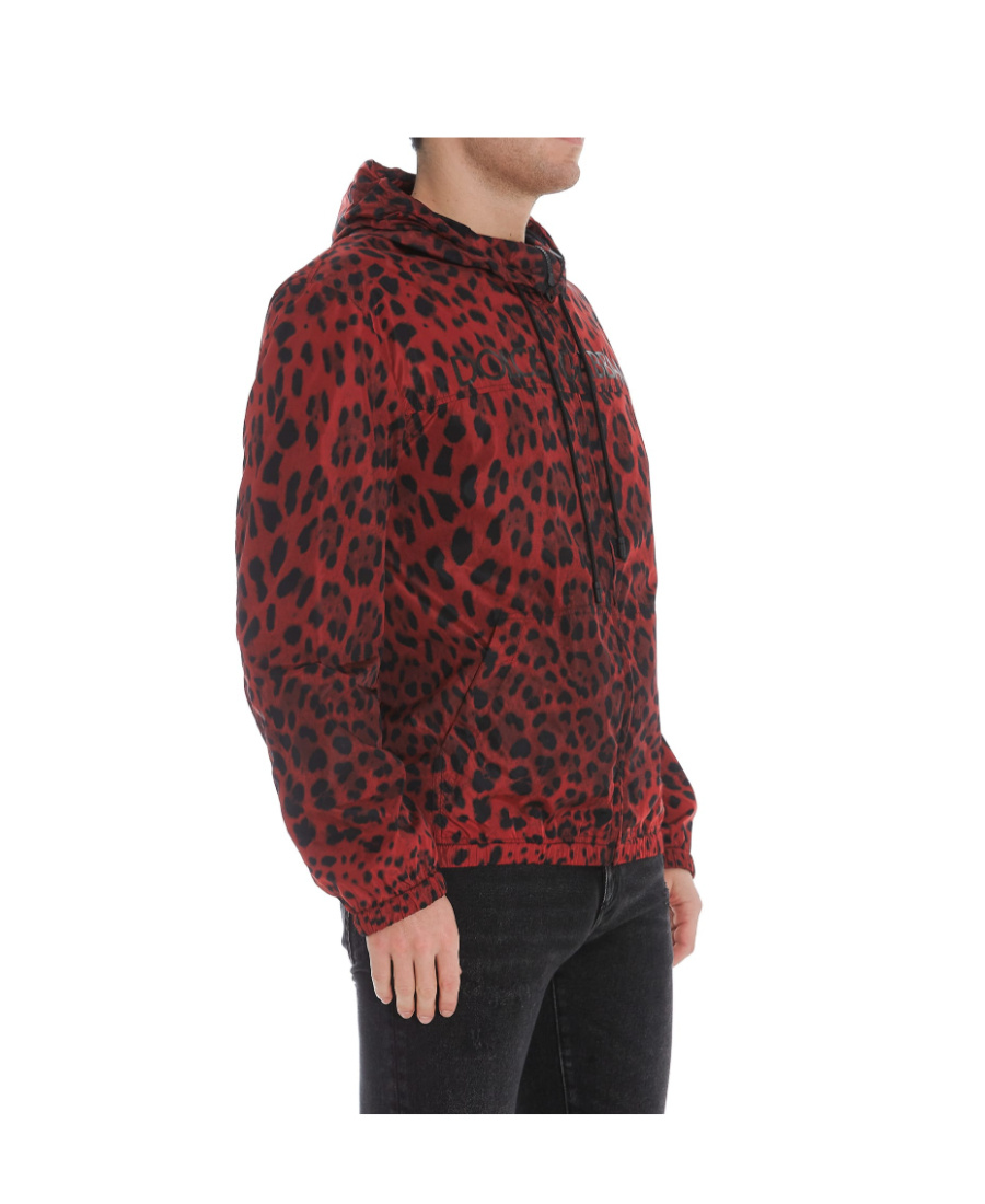 Dolce & Gabbana Men's Leopard Wind-resistant Hooded Jacket In Red