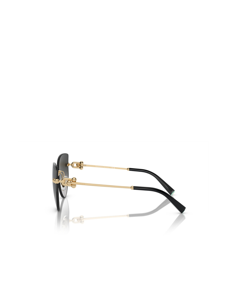 Tiffany & Co . Woman Sunglass Tf3096 In Black