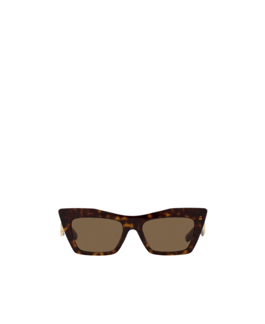 Dolce & Gabbana Dg4435 Cat-eye Frame Acetate Sunglasses In Brown