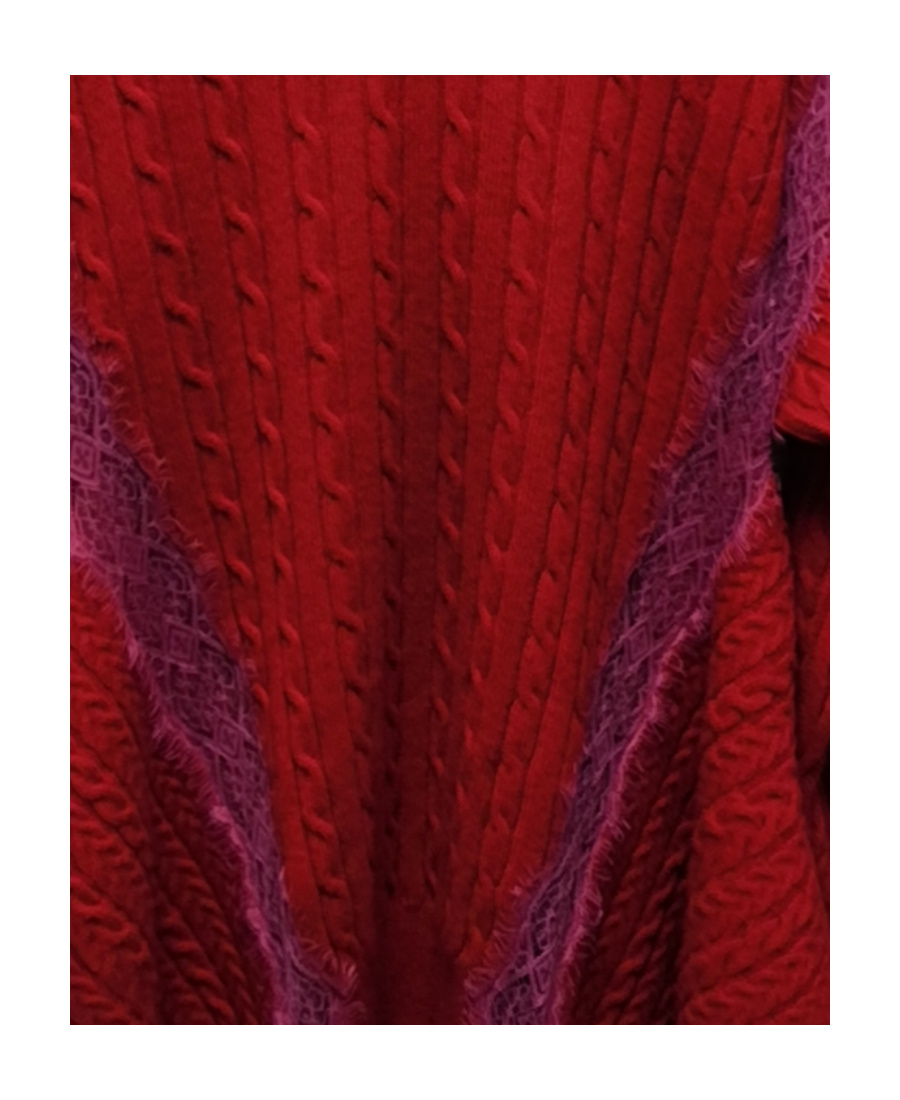 Stella Mccartney Floral Lace Asymmetrical Pullover In Red