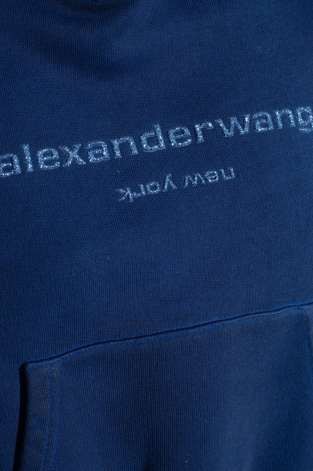 Alexander Wang Cotton Hoodie In Multicolor