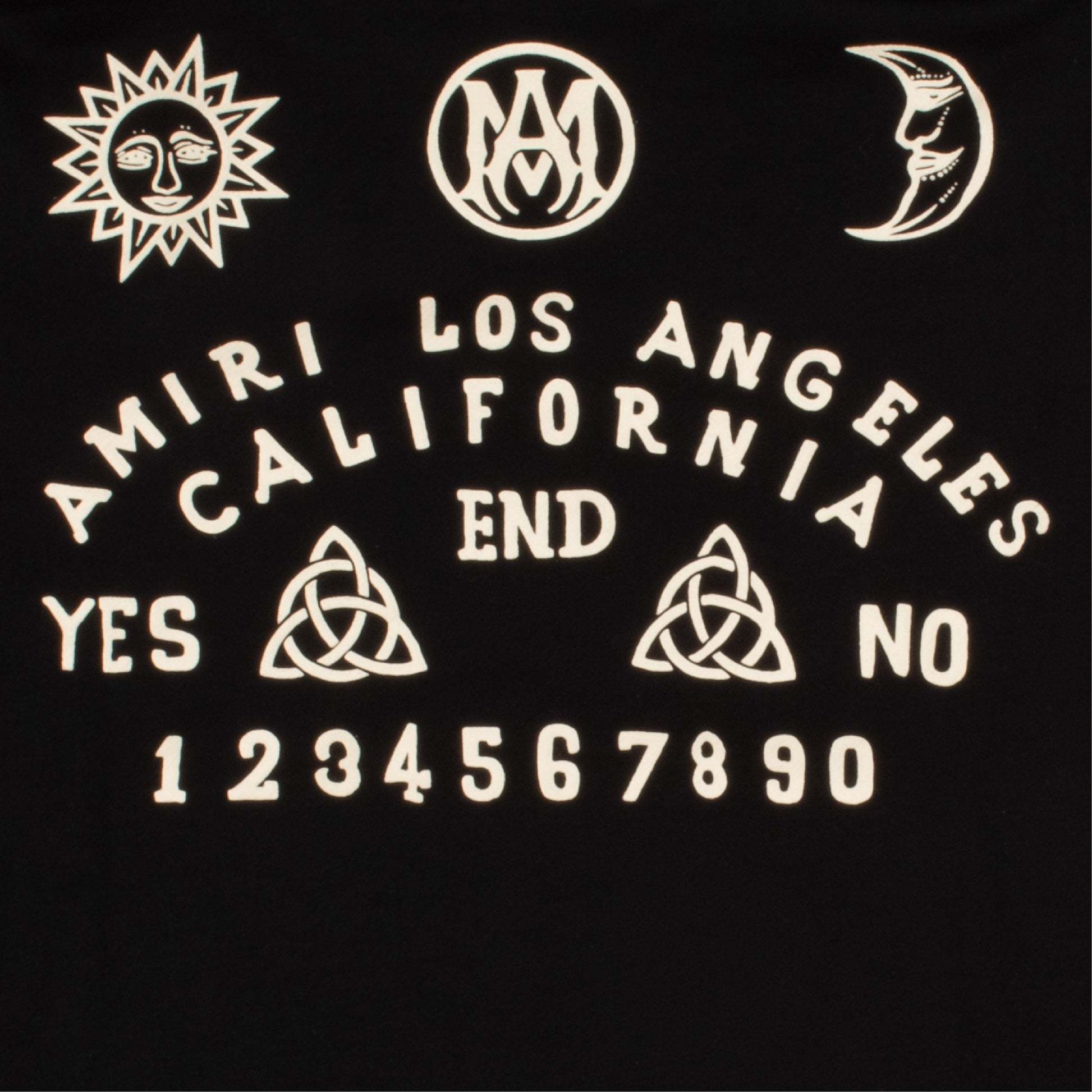 Amiri Logo-embroidered Cotton Hoodie In Black