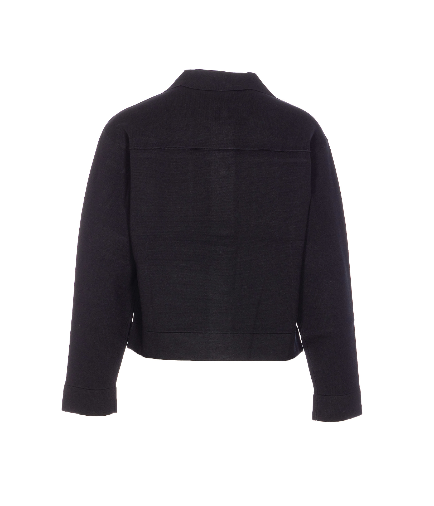 Max Mara Long-sleeved Casual Jacket In Black
