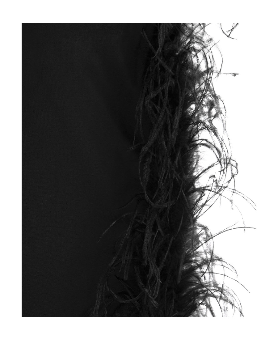 Sportmax Feather-trim Midi Dress In Black