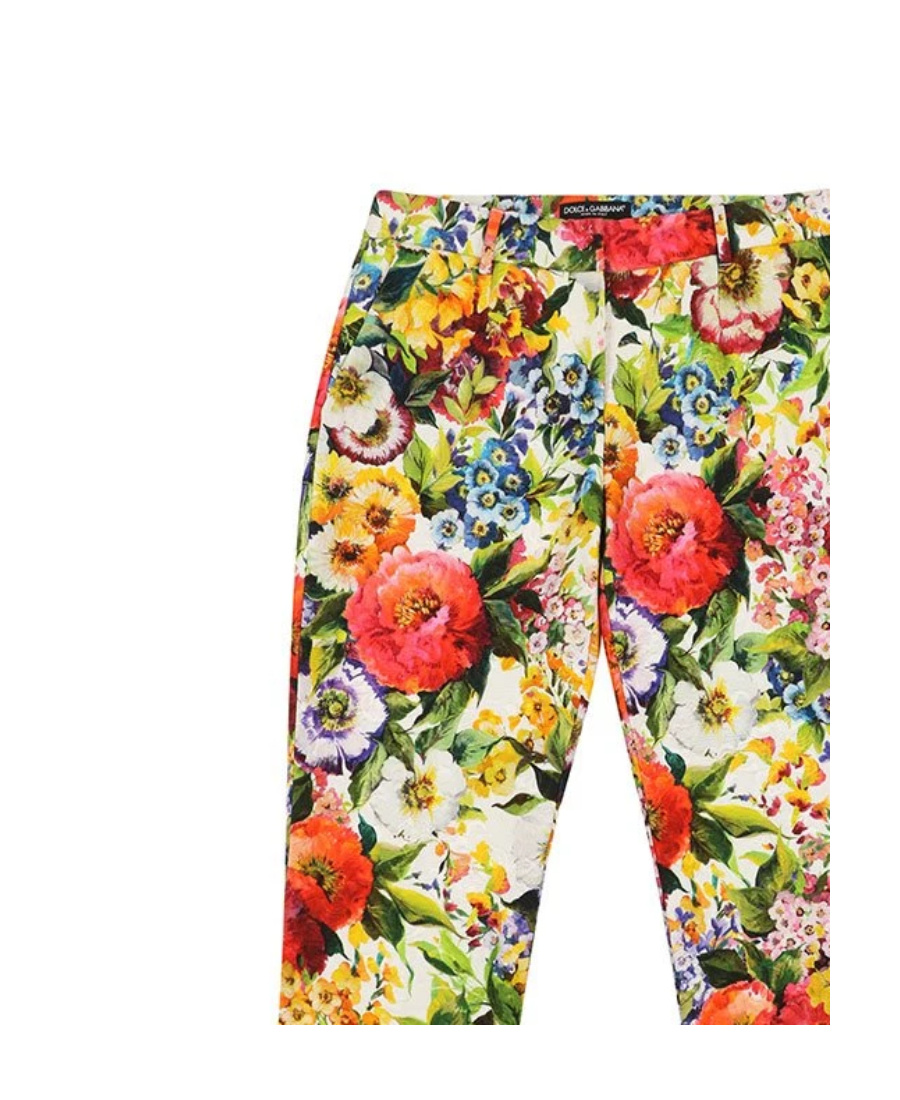 Dolce & Gabbana Printed Casual Pants In Nude