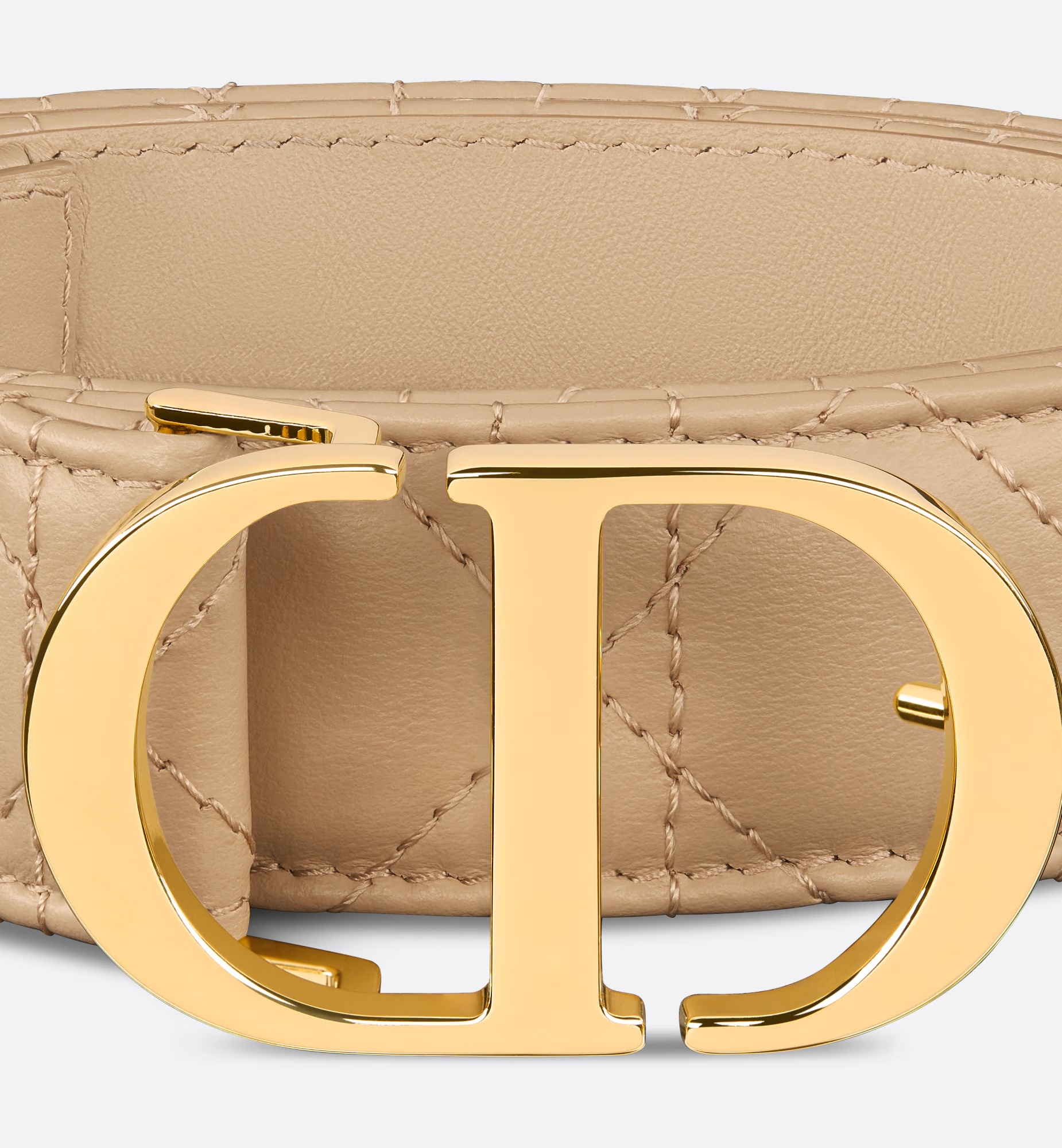 Dior 30 Montaigne Belt In Nude