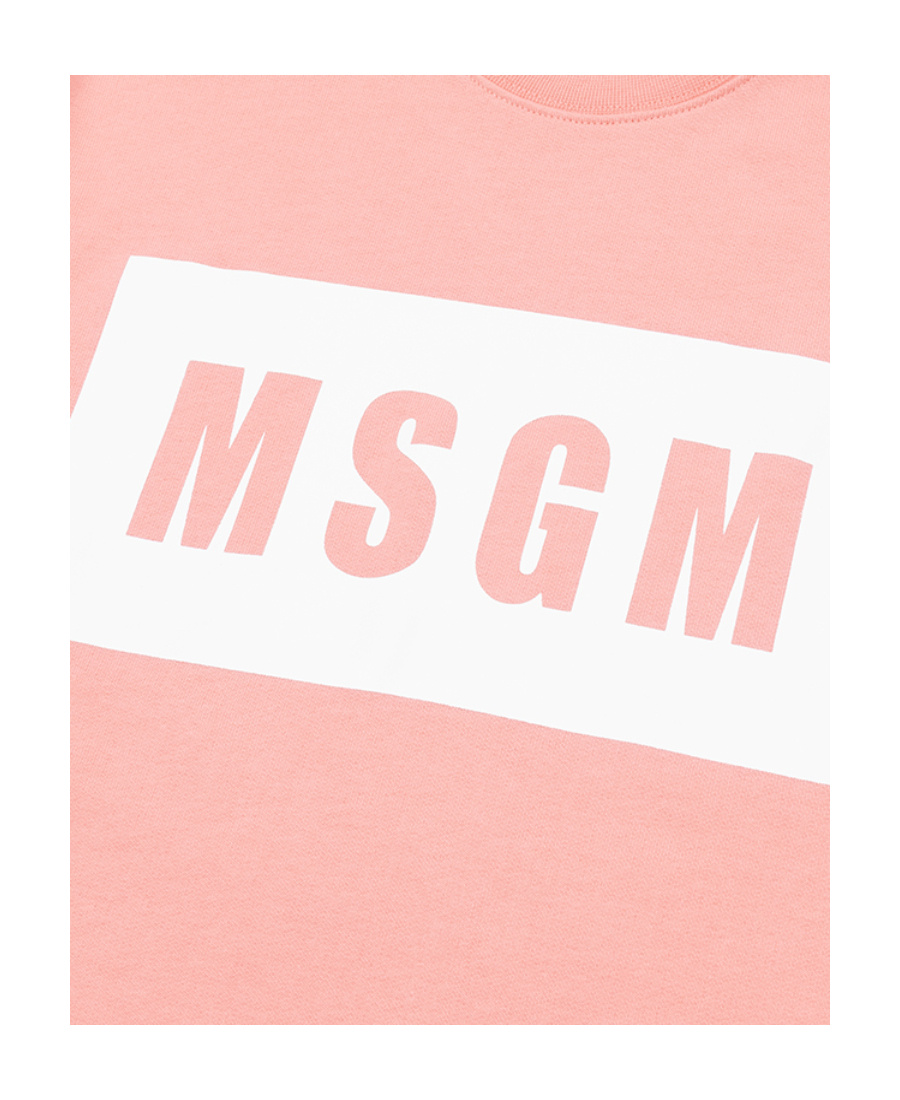 Msgm Logo Hoodie In Pink