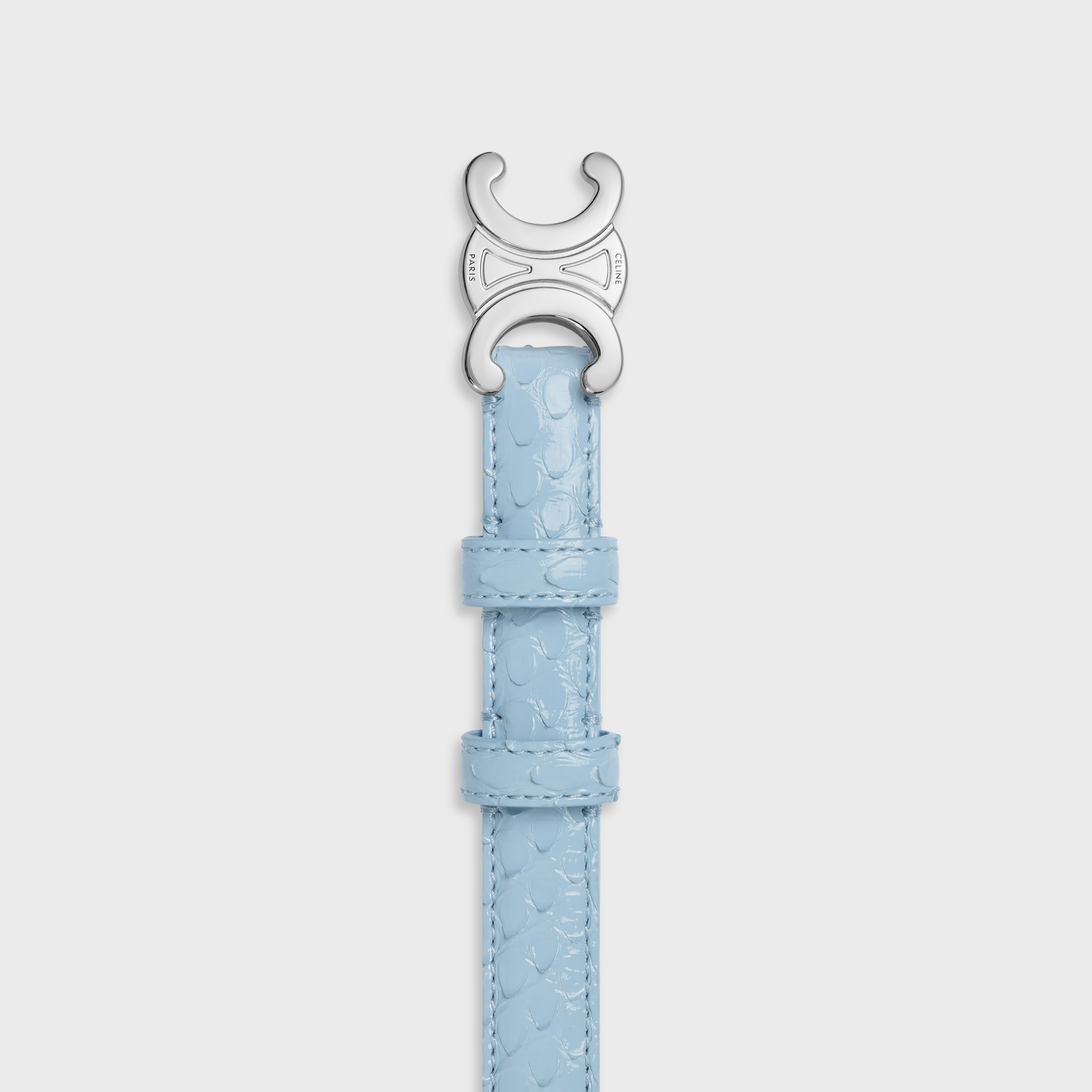 Celine Small Triomphe Belt In Python In Blue/grey