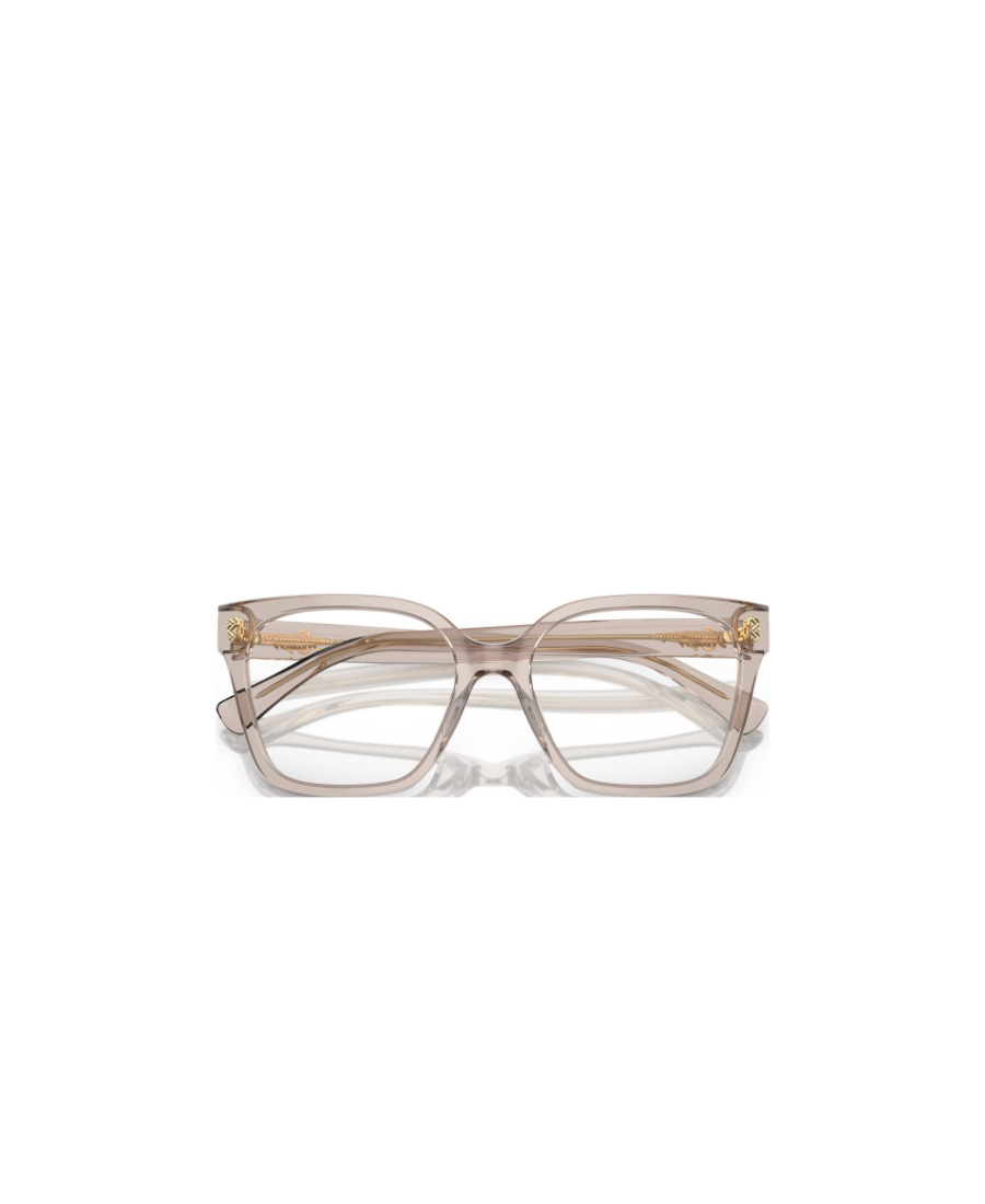 Polo Ralph Lauren Ralph Lauren Eyeglasses In Nude