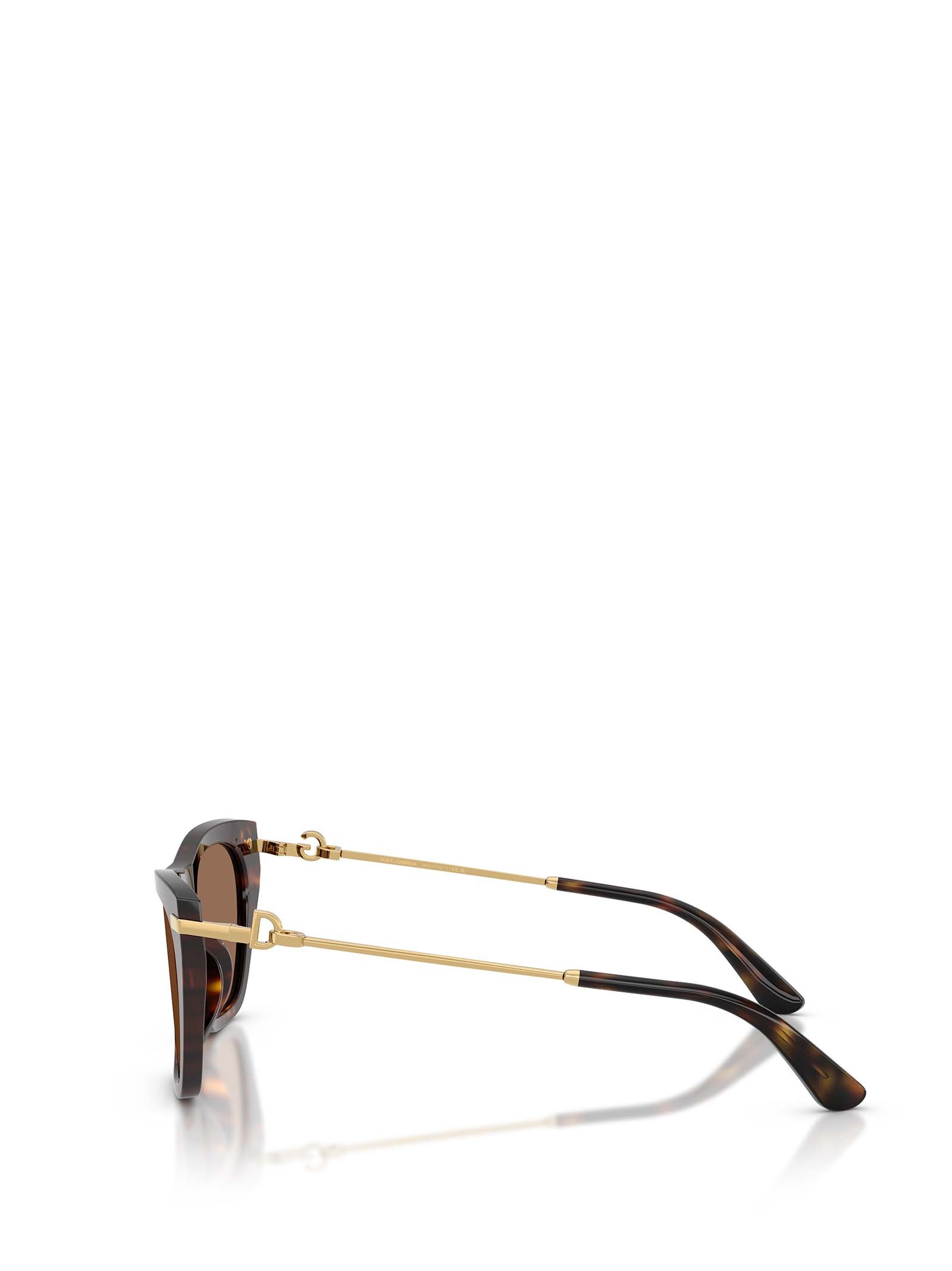 Dolce & Gabbana Full Frame Sunglasses In Brown