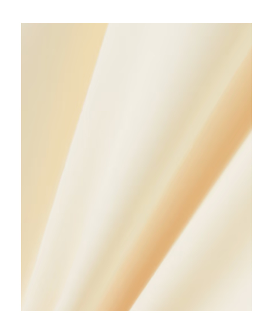 The Row Logo Silk Crepe De Chine Breast Dress